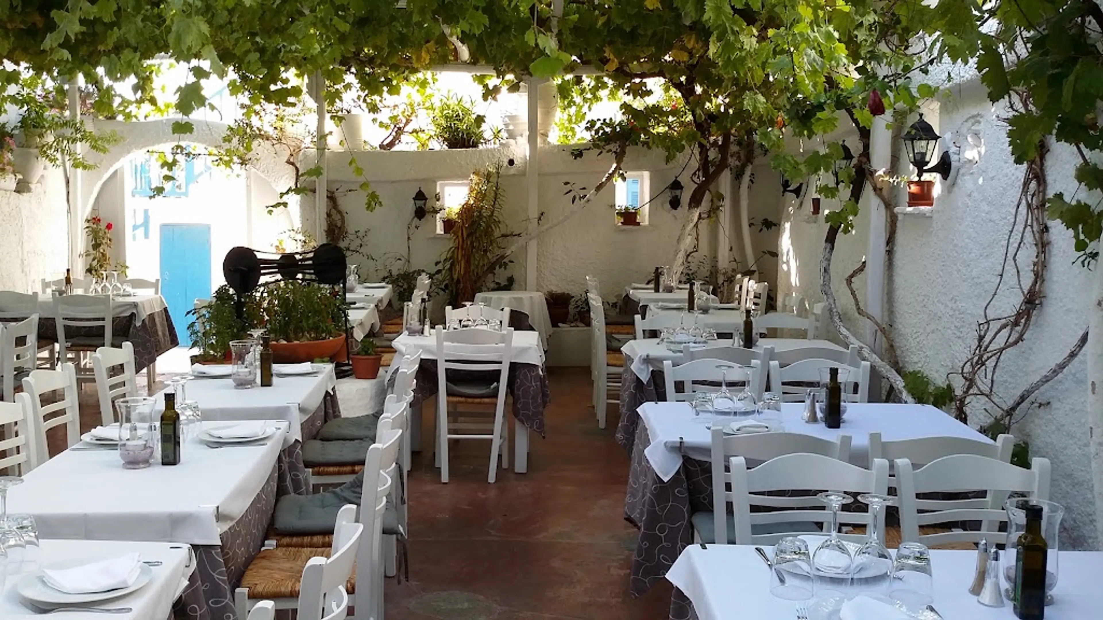 Traditional Greek Taverna