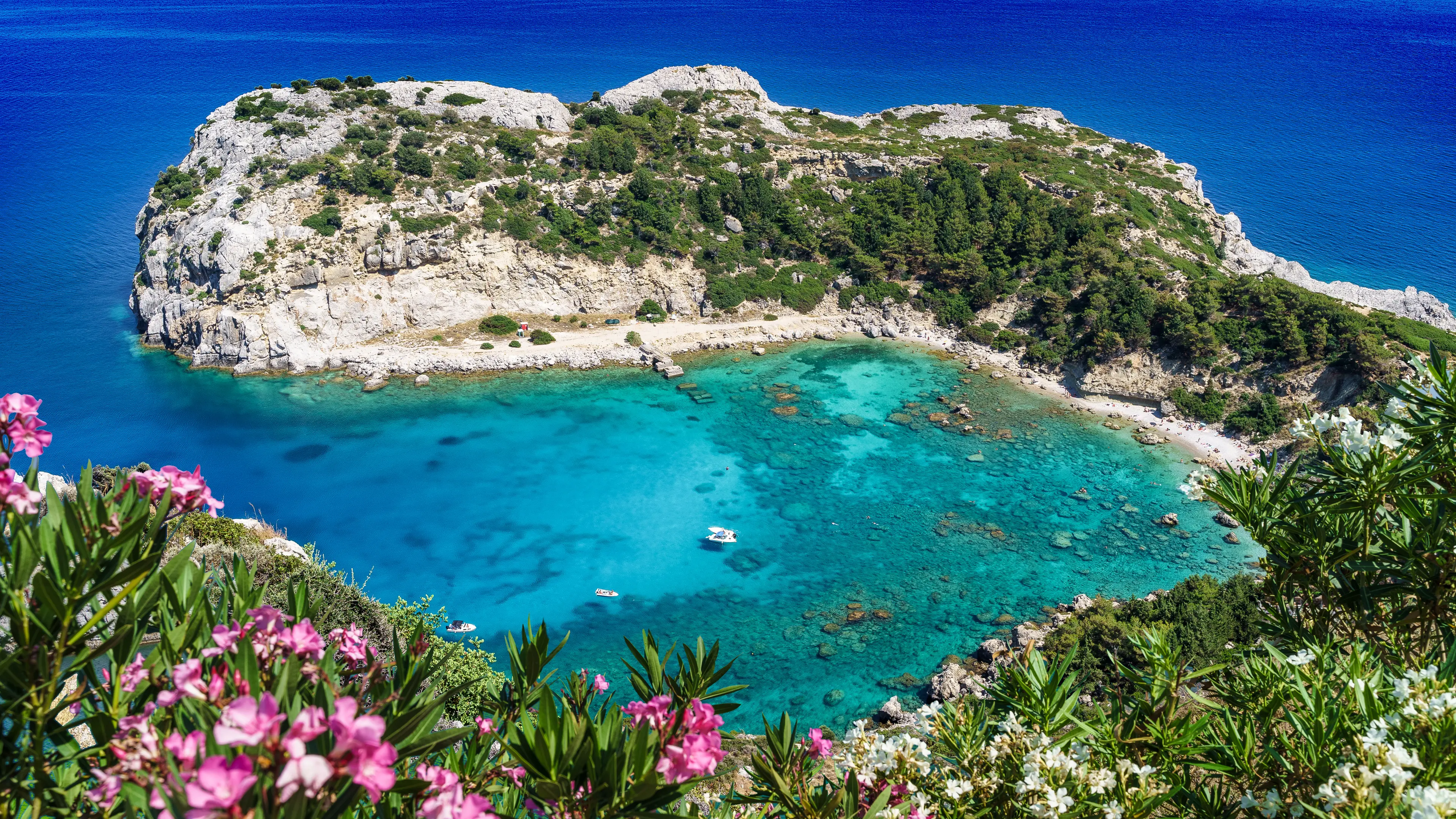 Anthony Quinn Bay