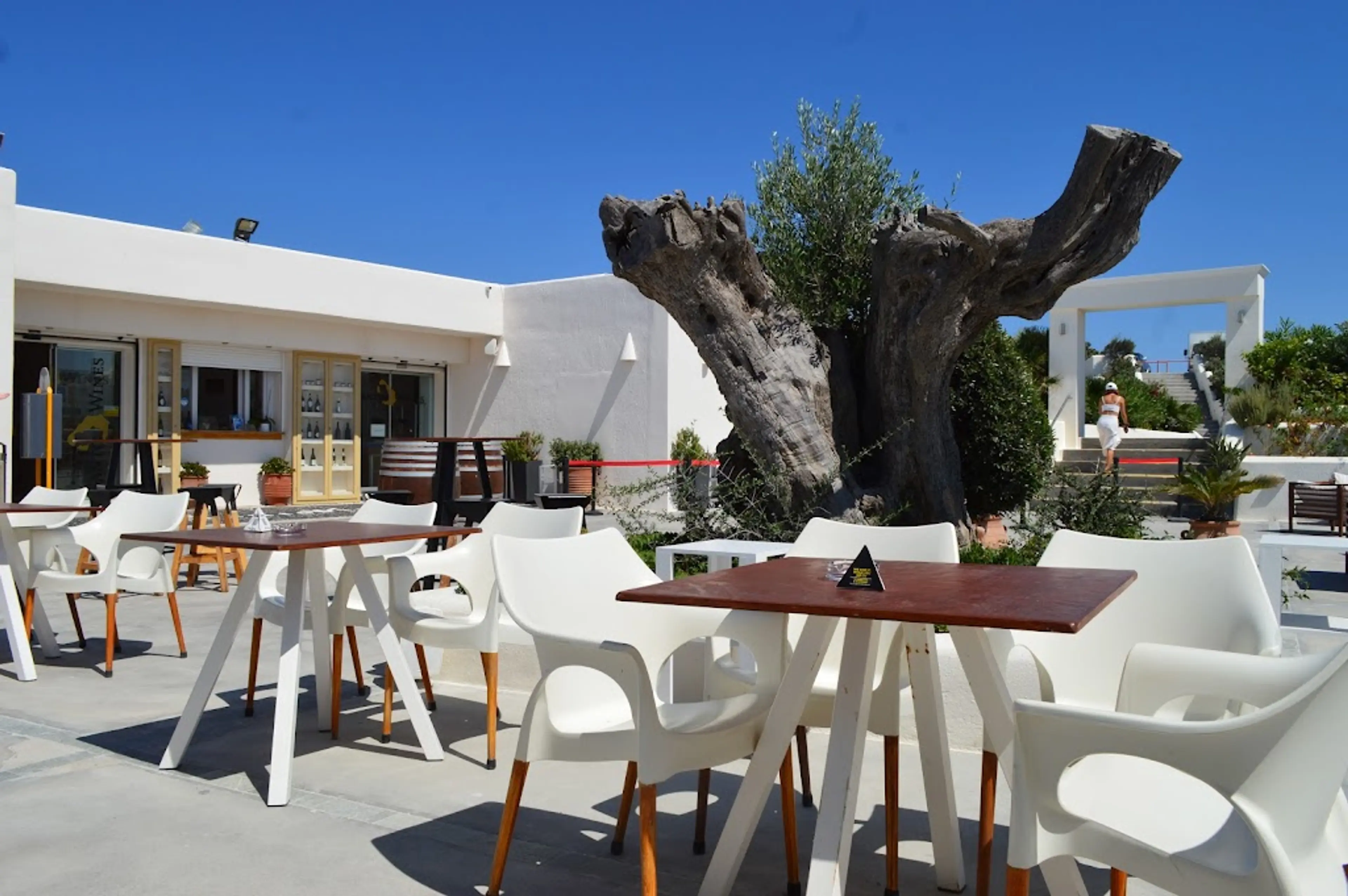 Santorini winery