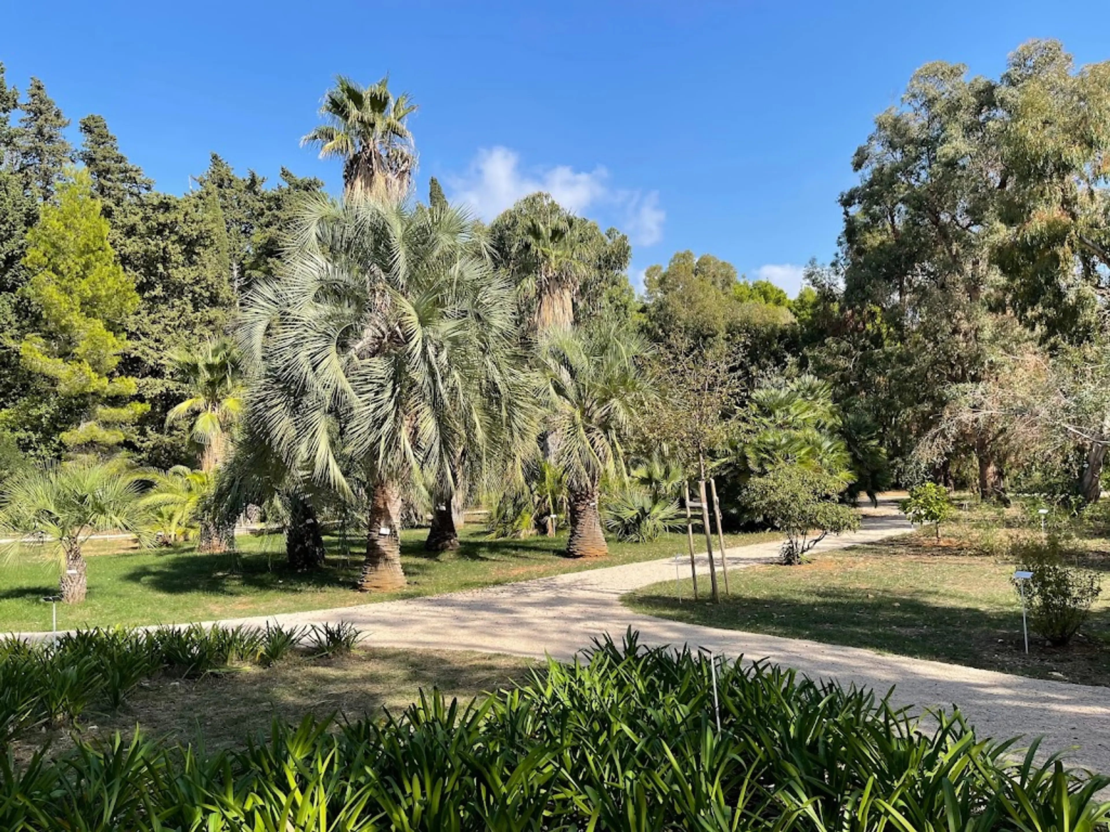 Botanical Gardens on Lokrum Island