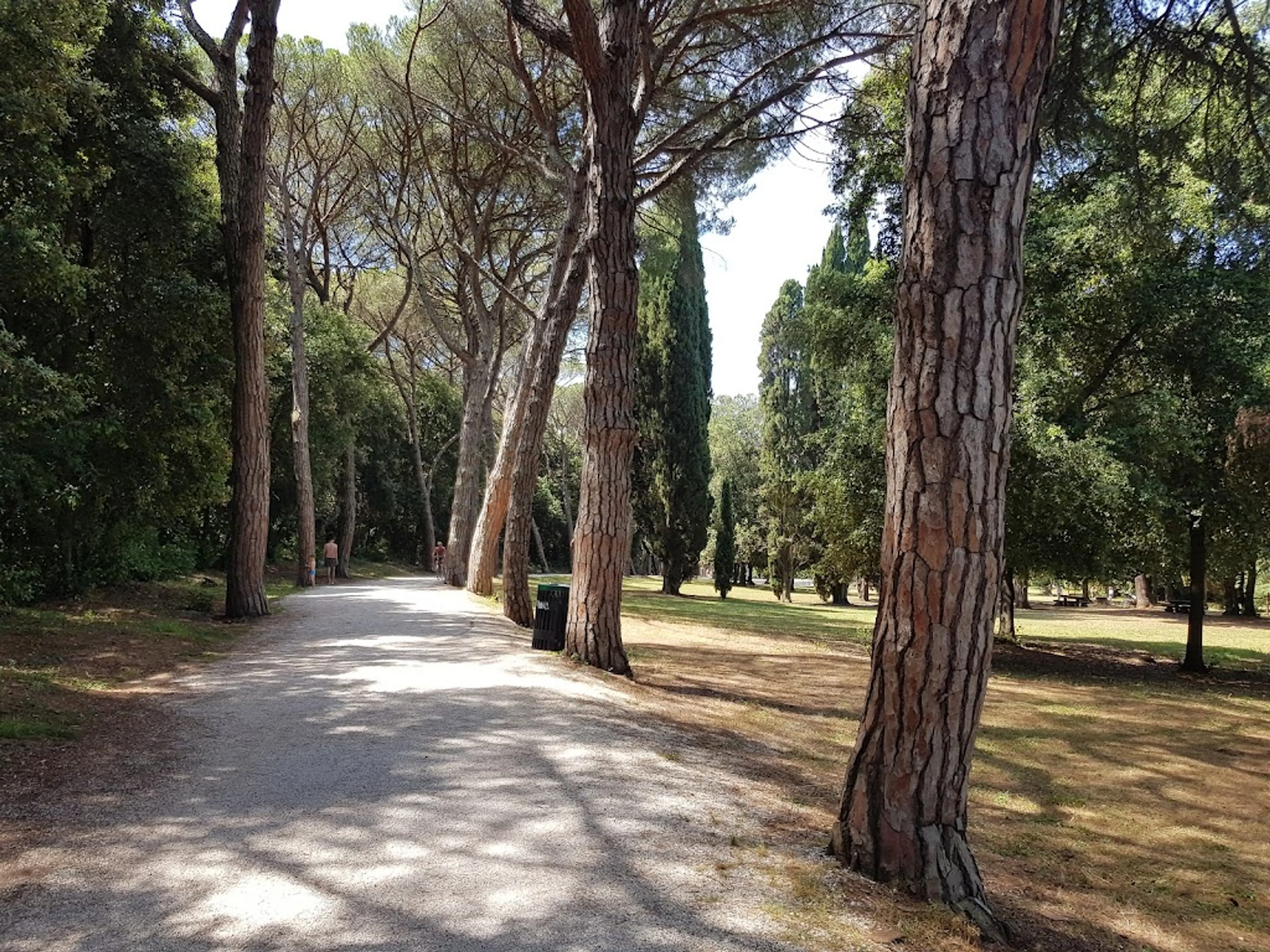 Park Forest Zlatni Rt
