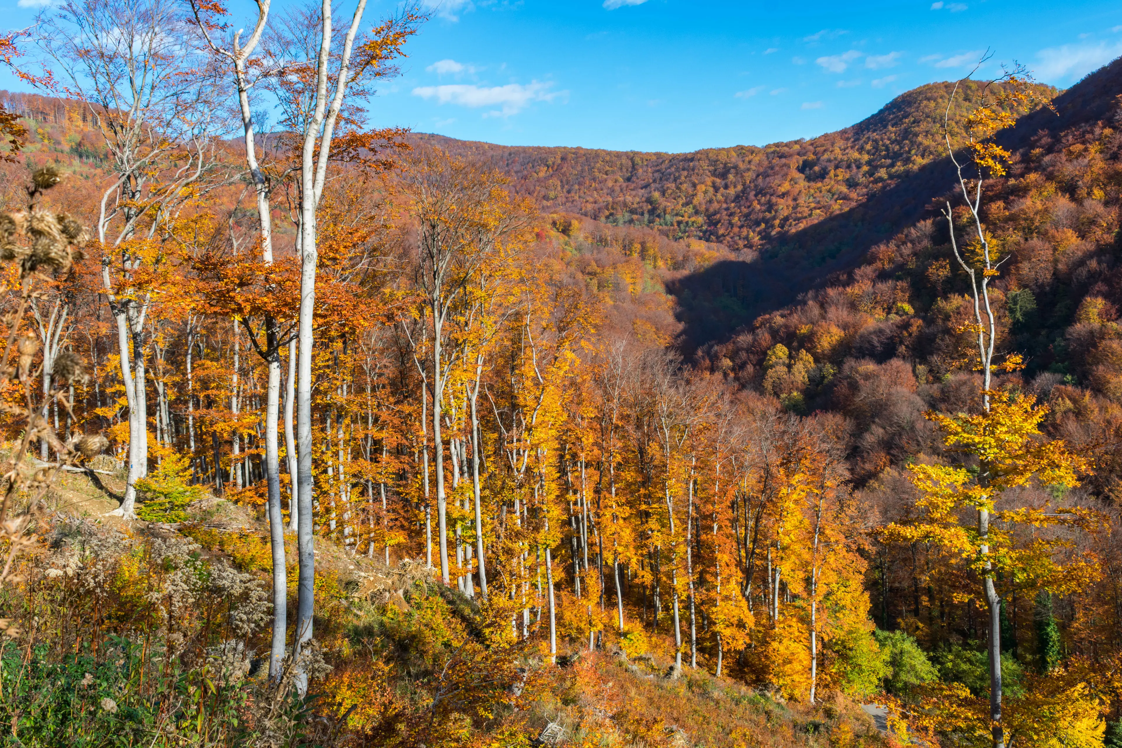 Medvednica Mountain