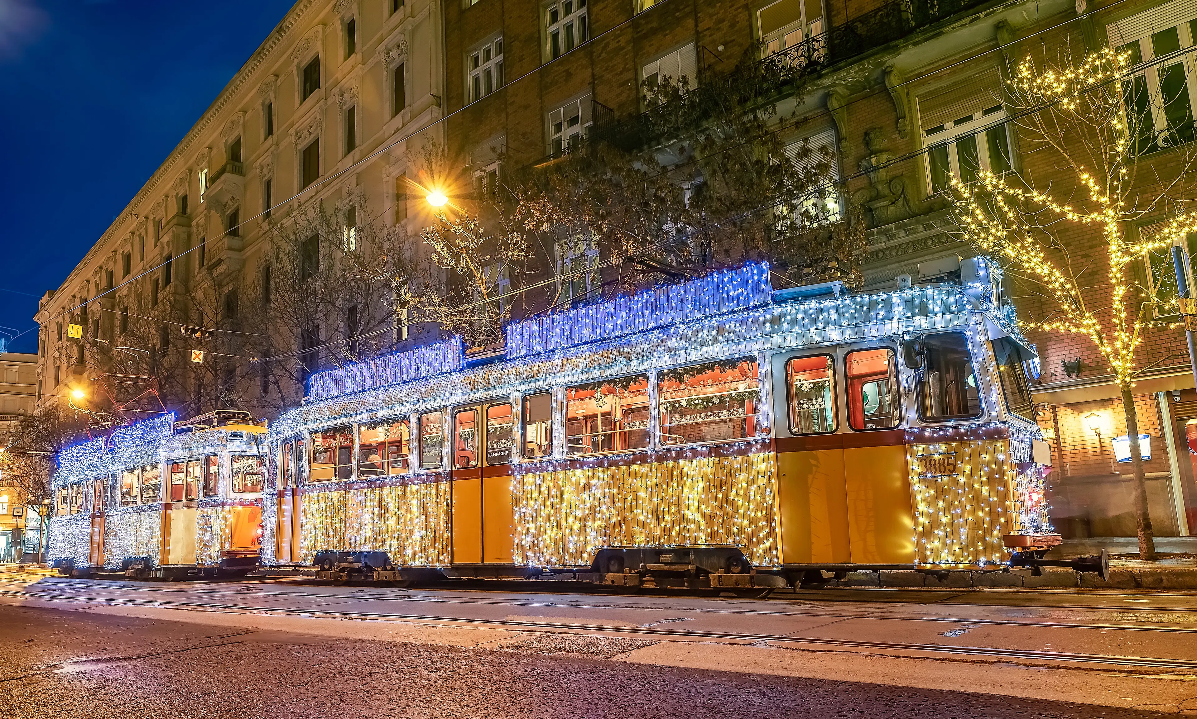 Christmas Light Tram