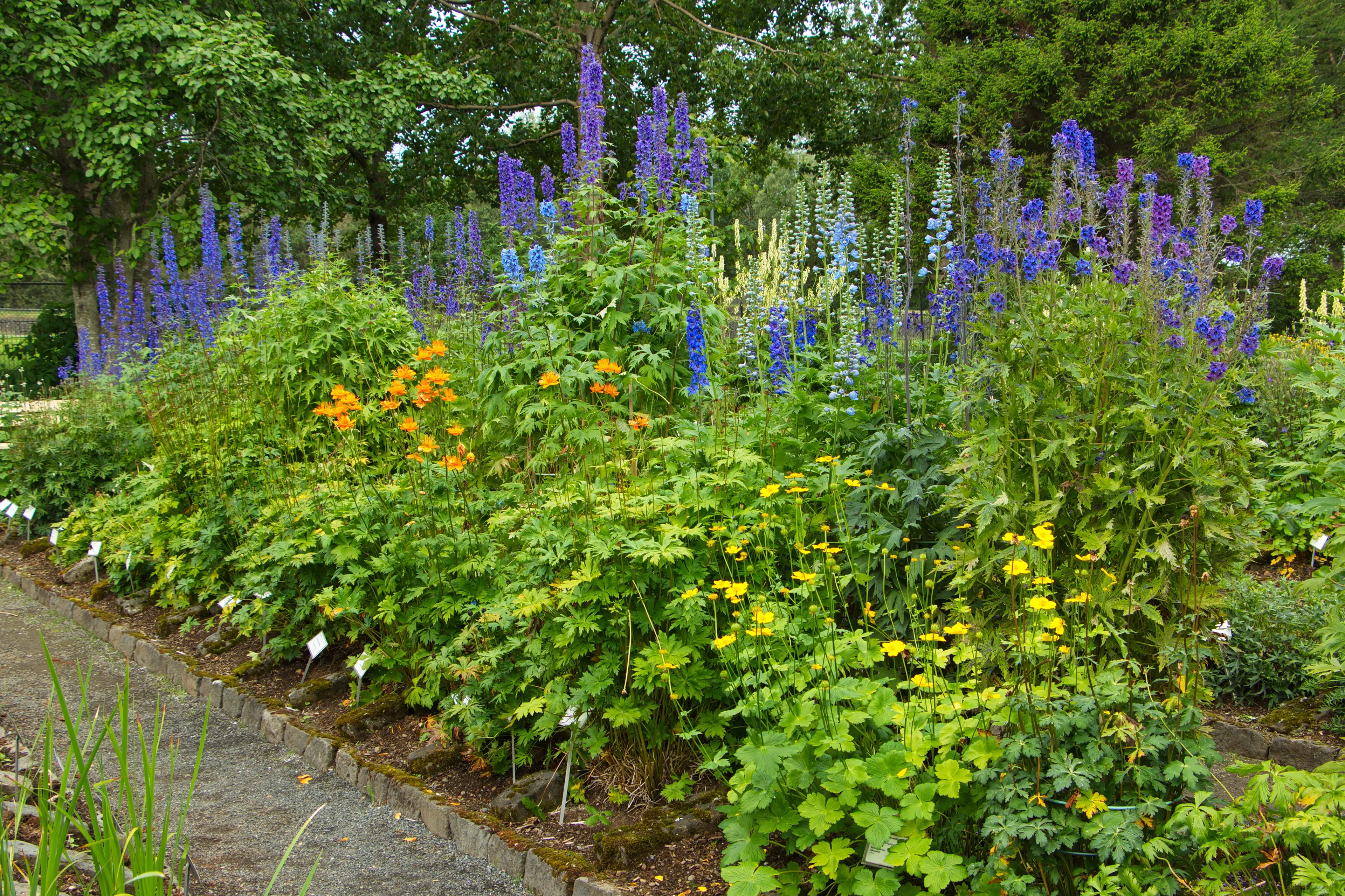 Reykjavik Botanical Gardens