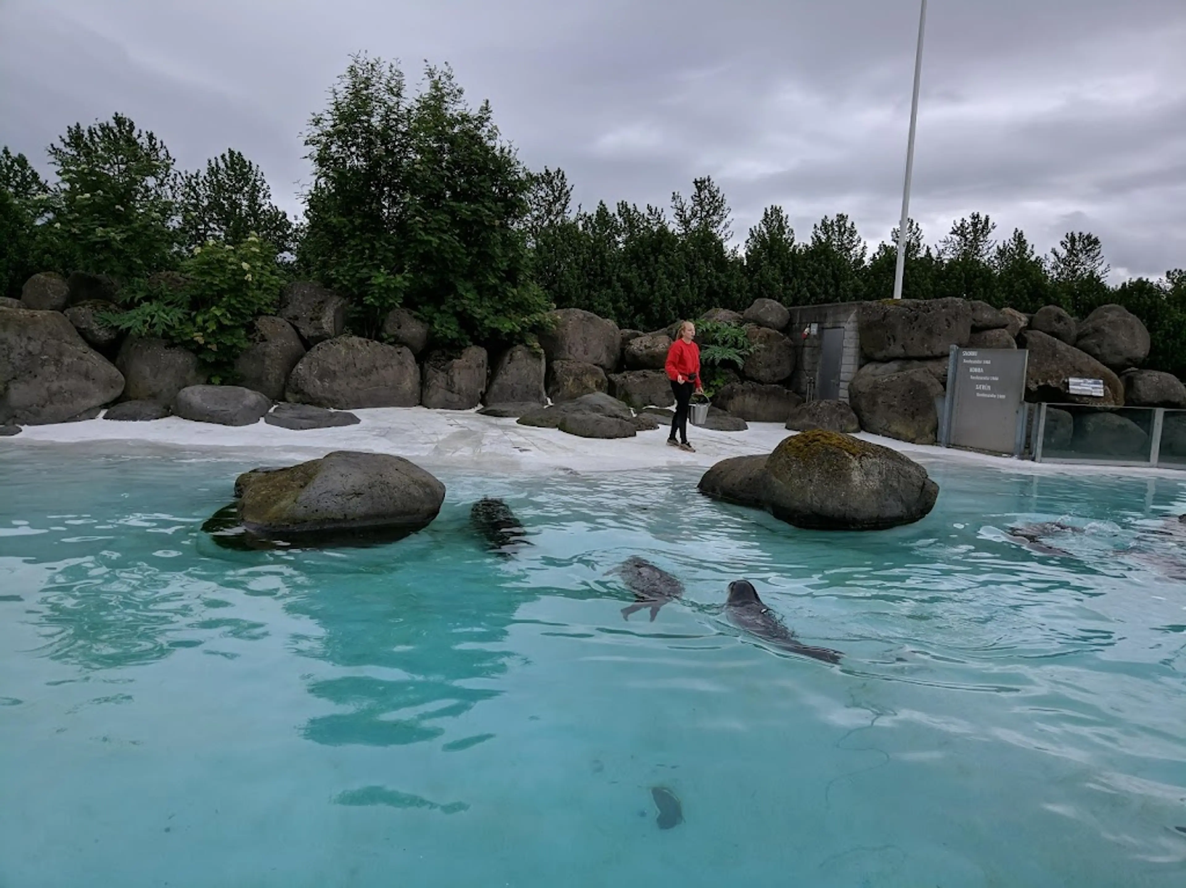 Reykjavik Zoo and Family Park