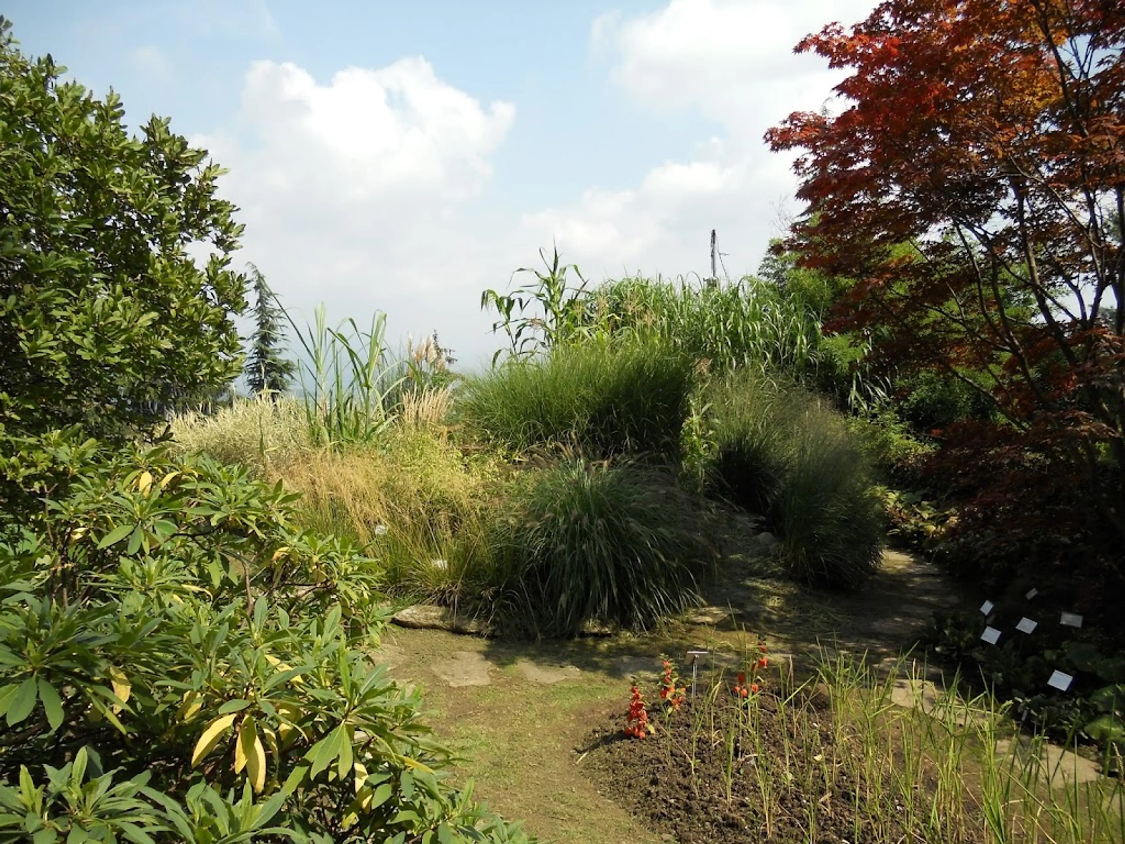 Bergamo Botanical Garden