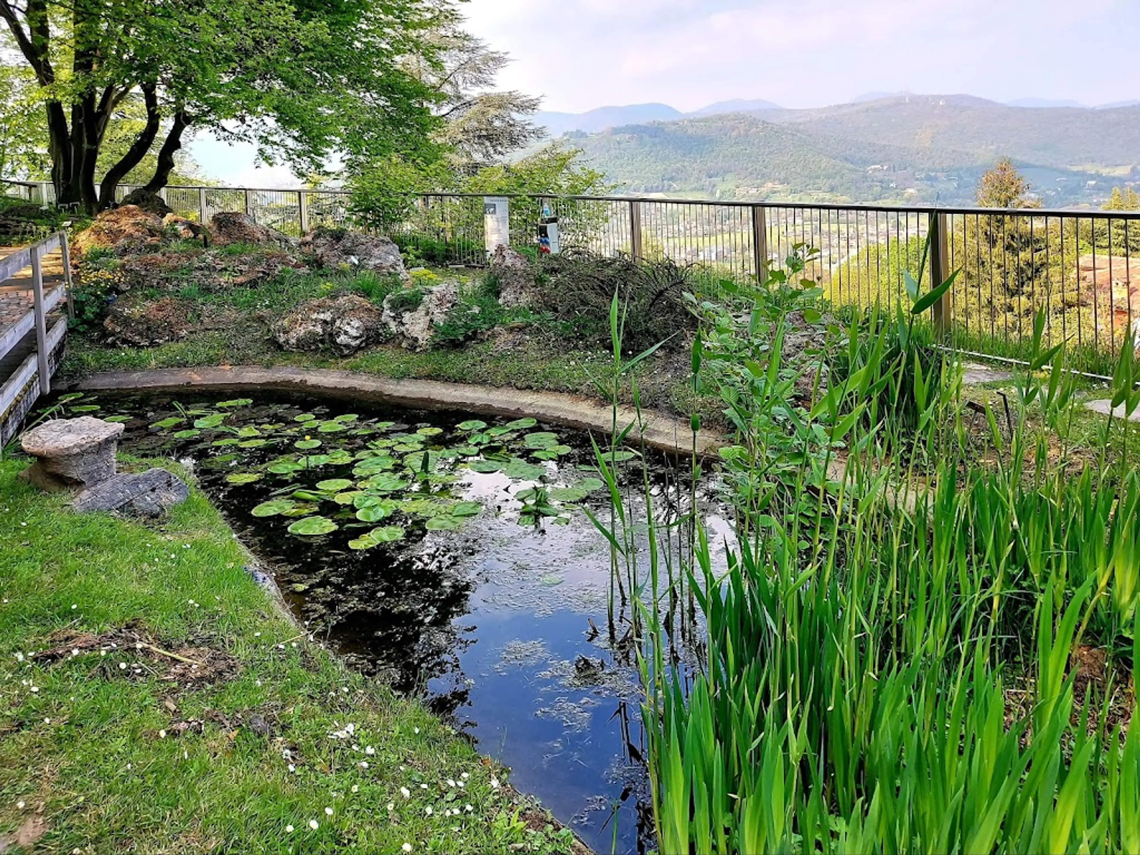 Botanical Garden of Lorenzo Rota