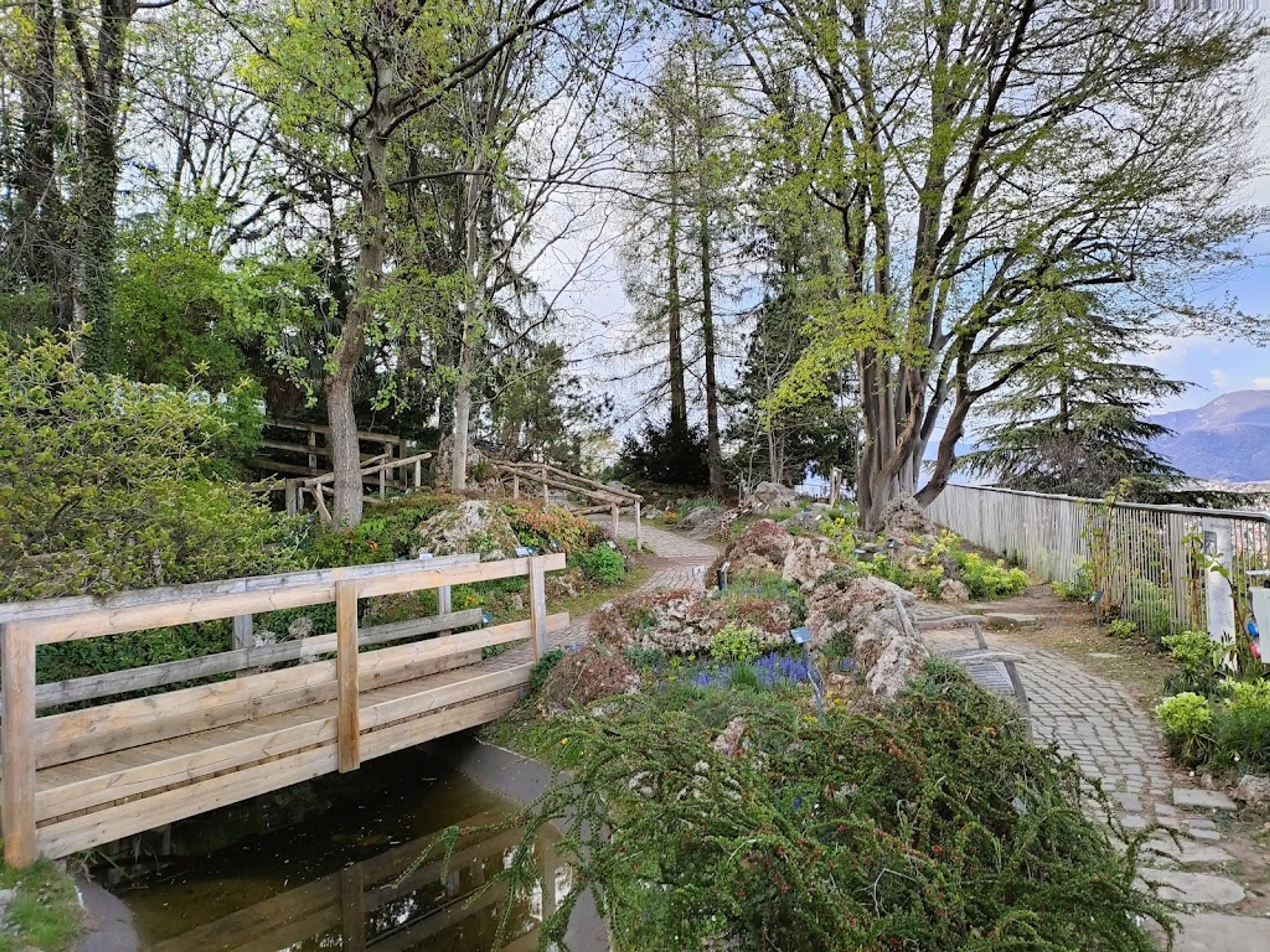 Botanical Gardens of Lorenzo Rota