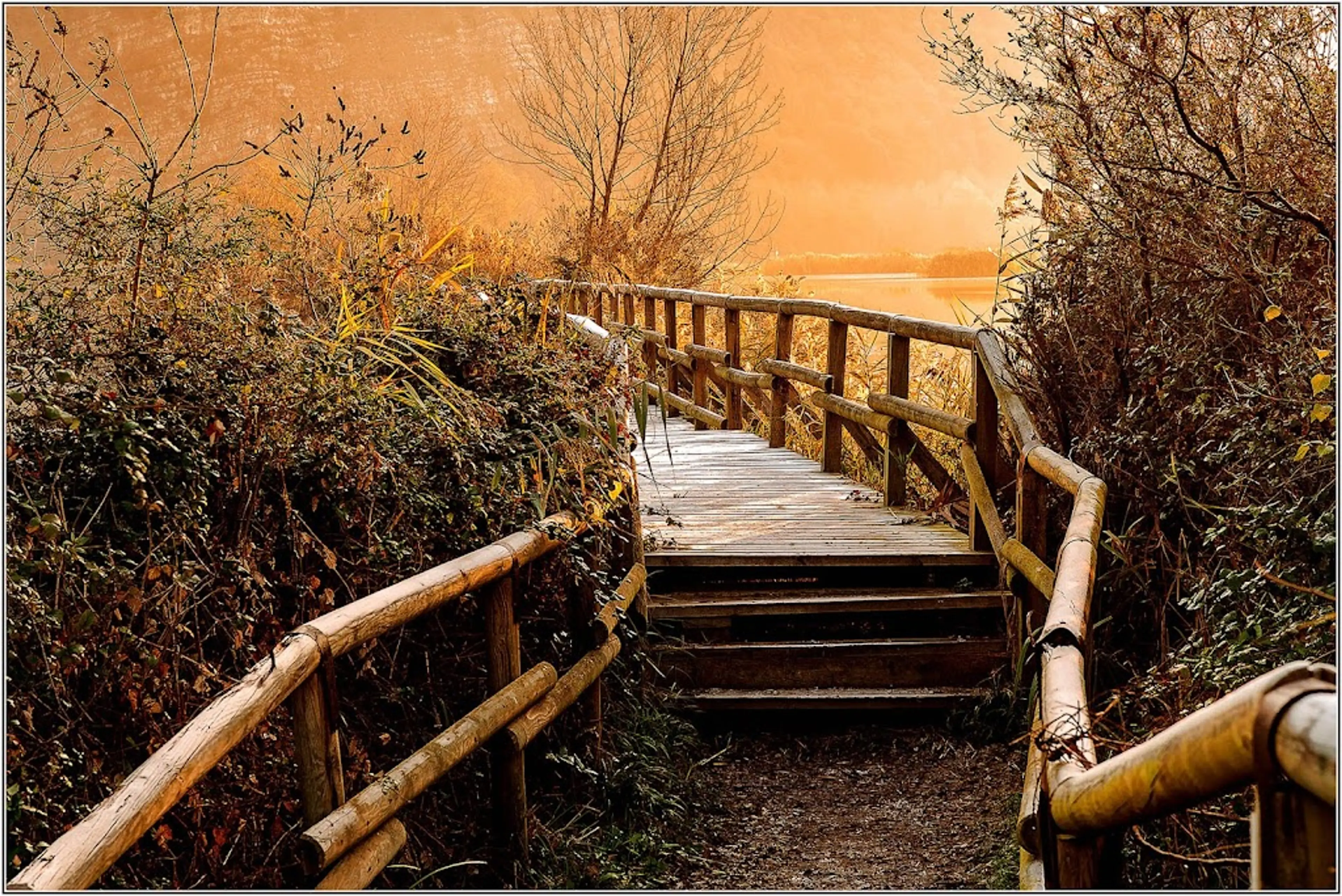 Torbiere del Sebino Nature Reserve