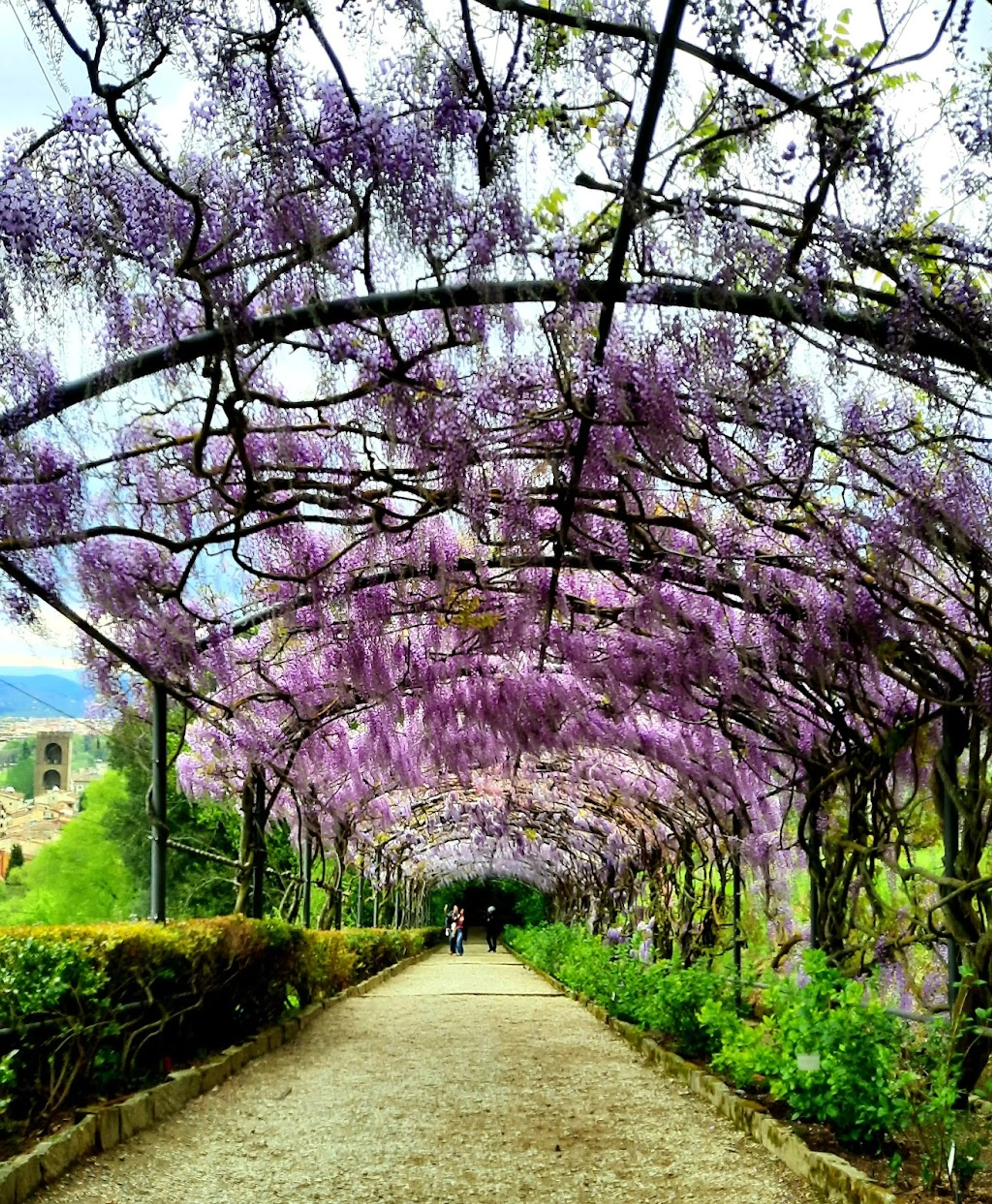 Bardini Garden