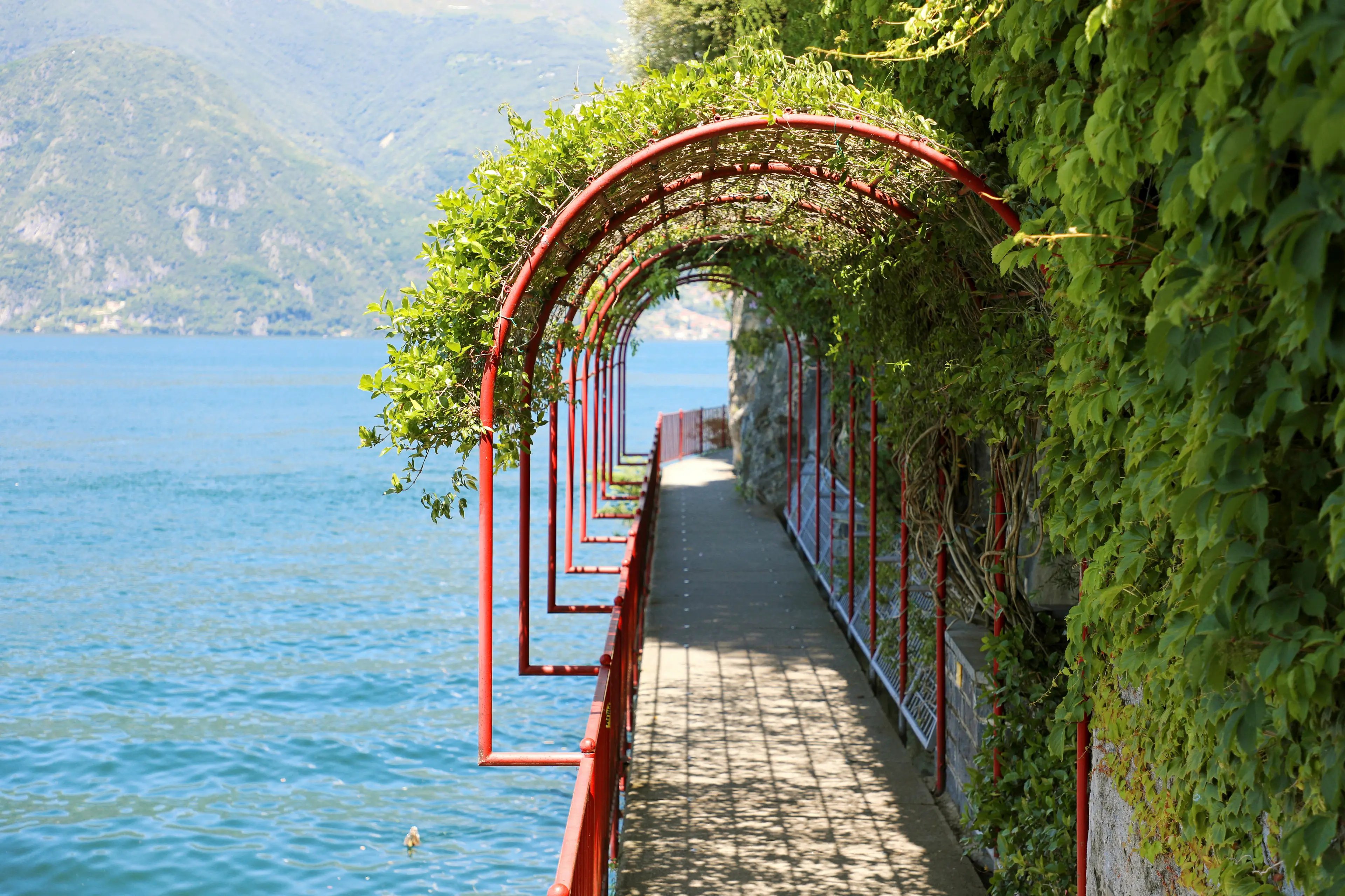 Love's Path