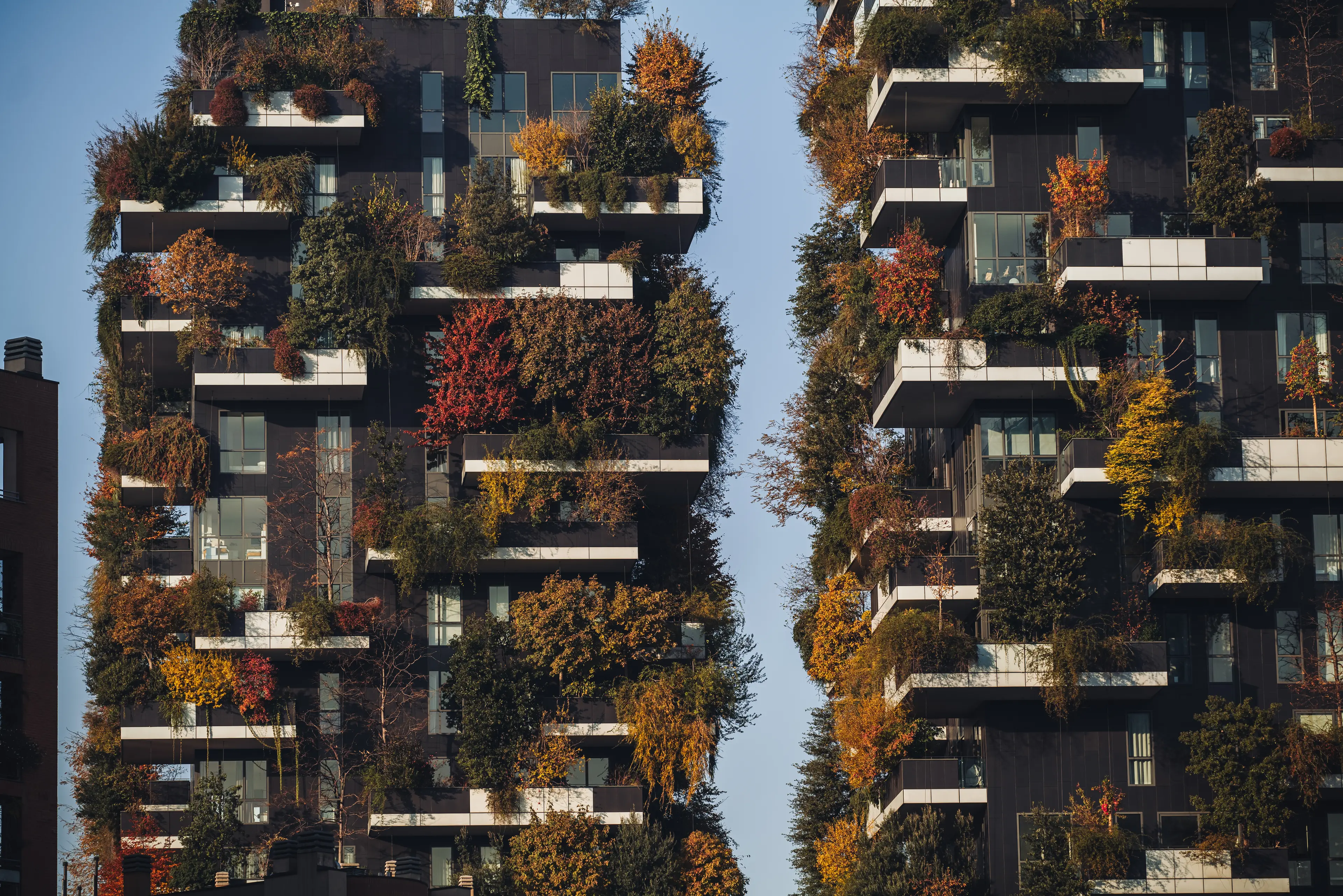 Architecture in Isola