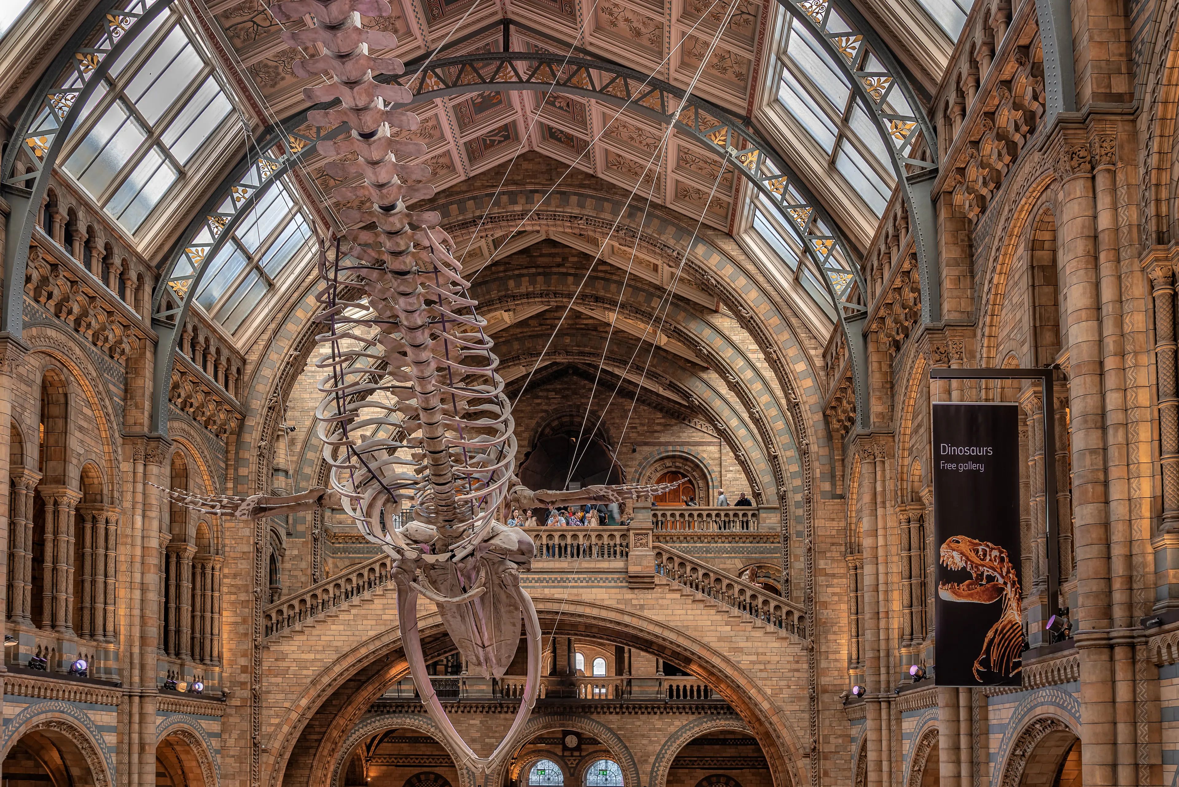 Natural History Museum