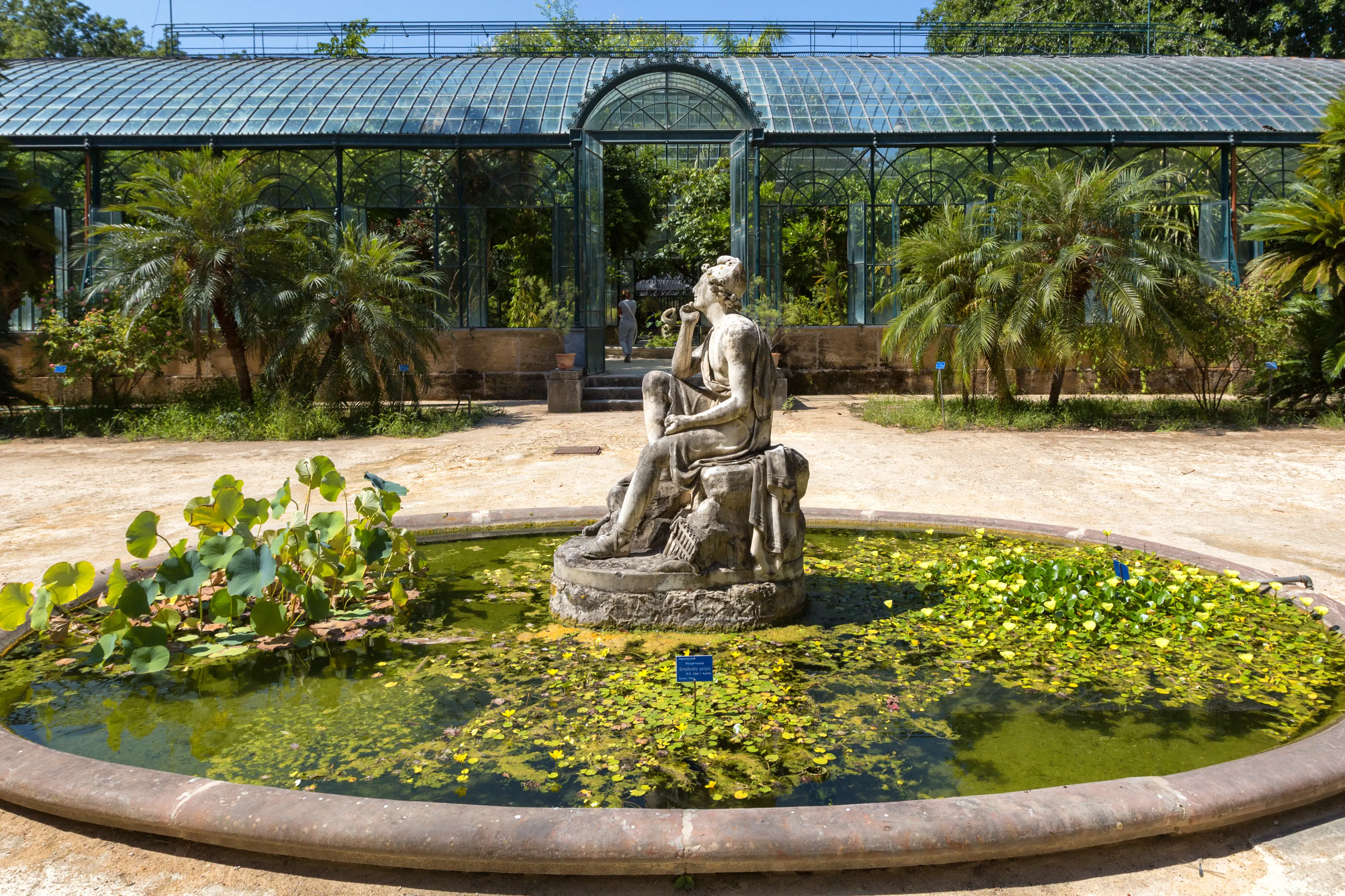 Botanical Garden of Palermo