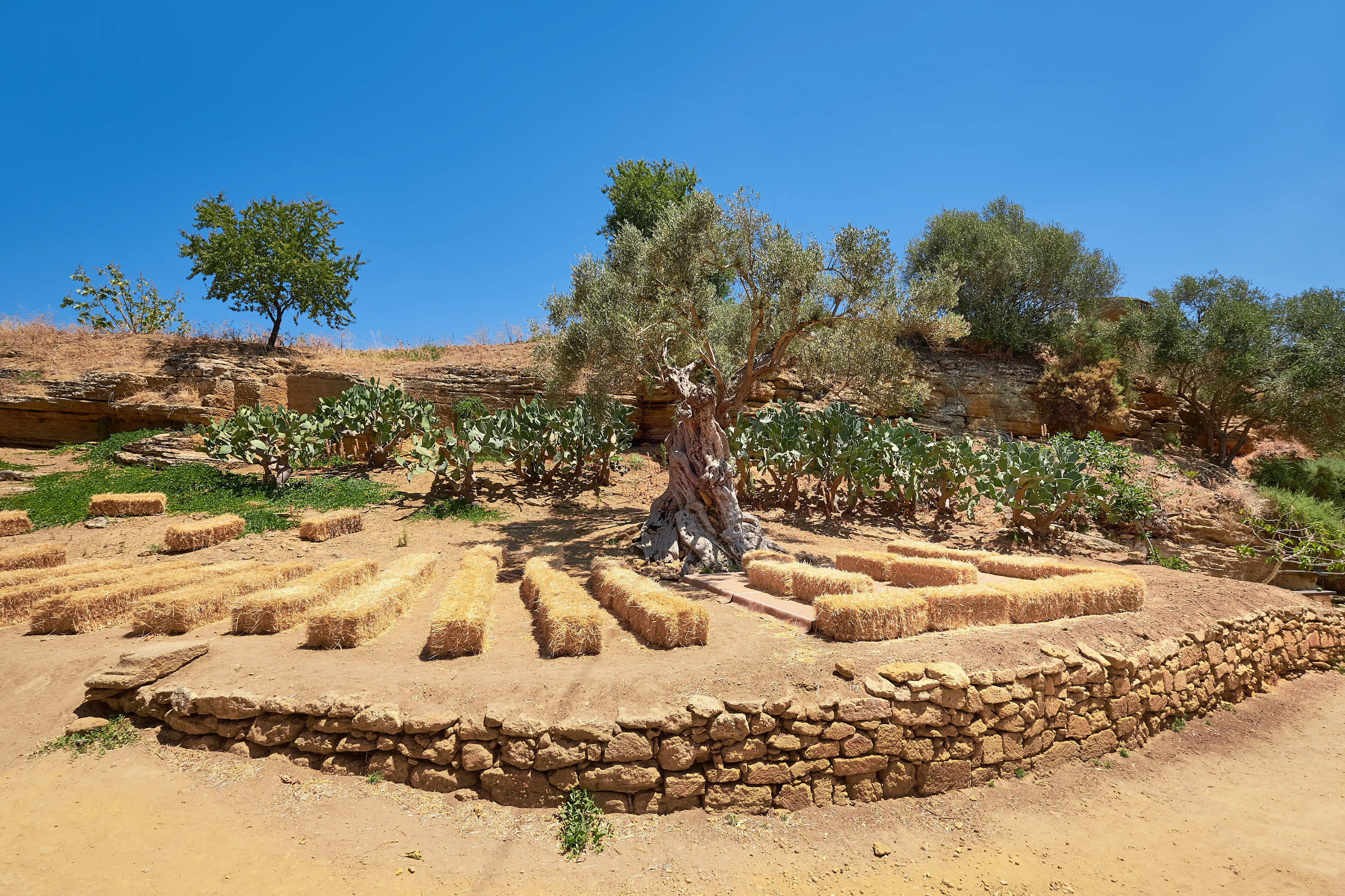 Garden of Kolymbethra