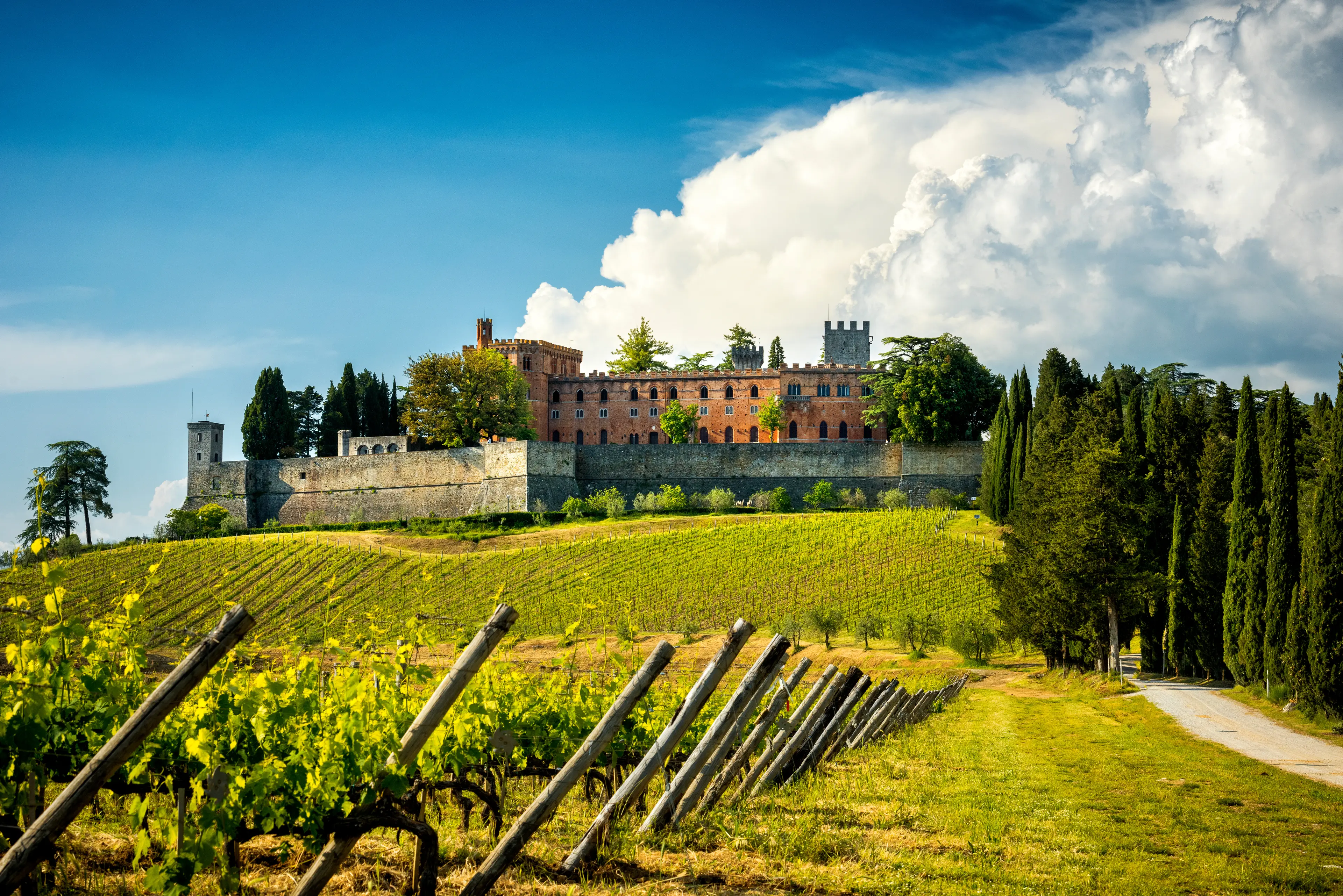 Chianti region