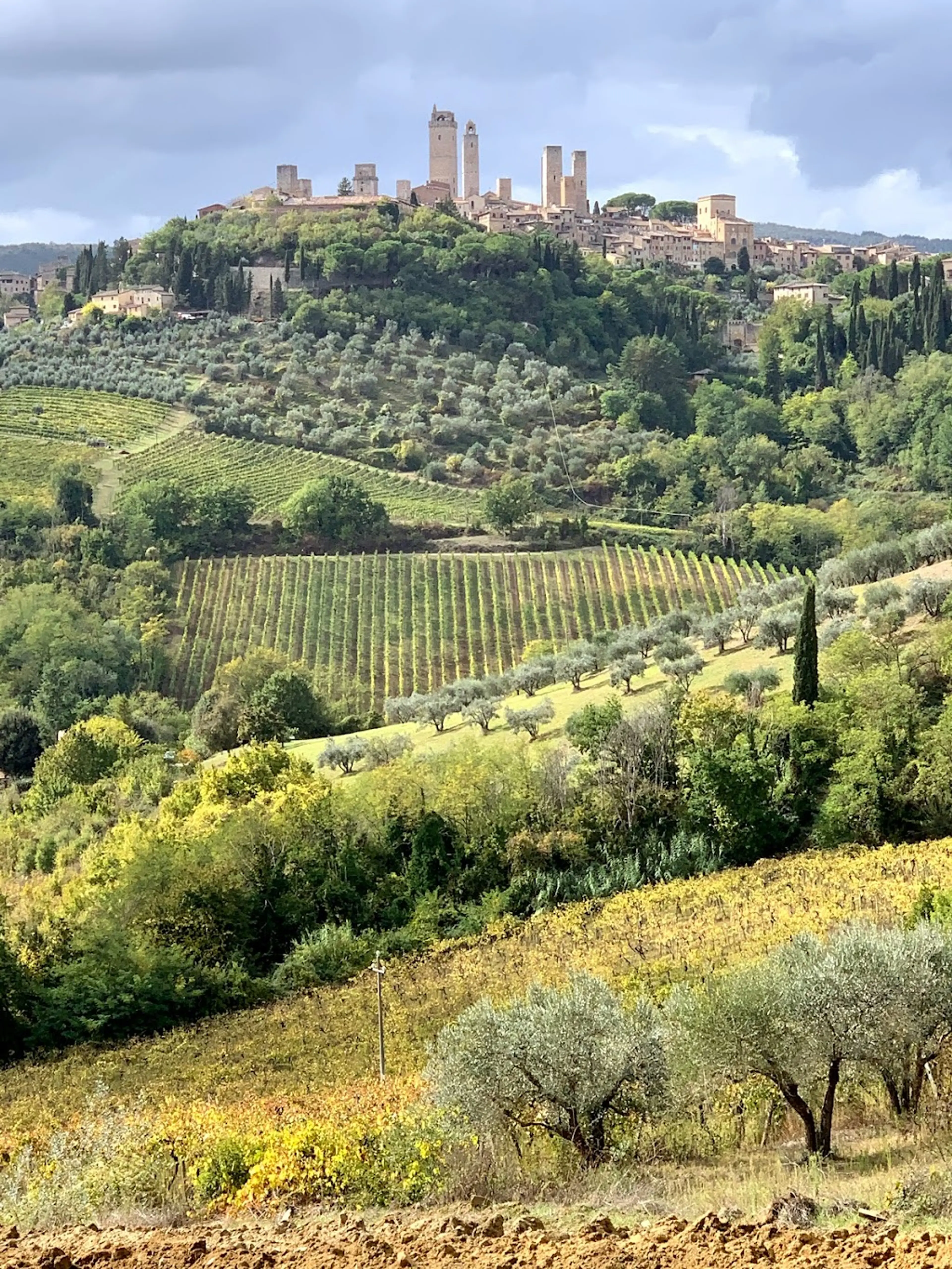 Chianti wine region