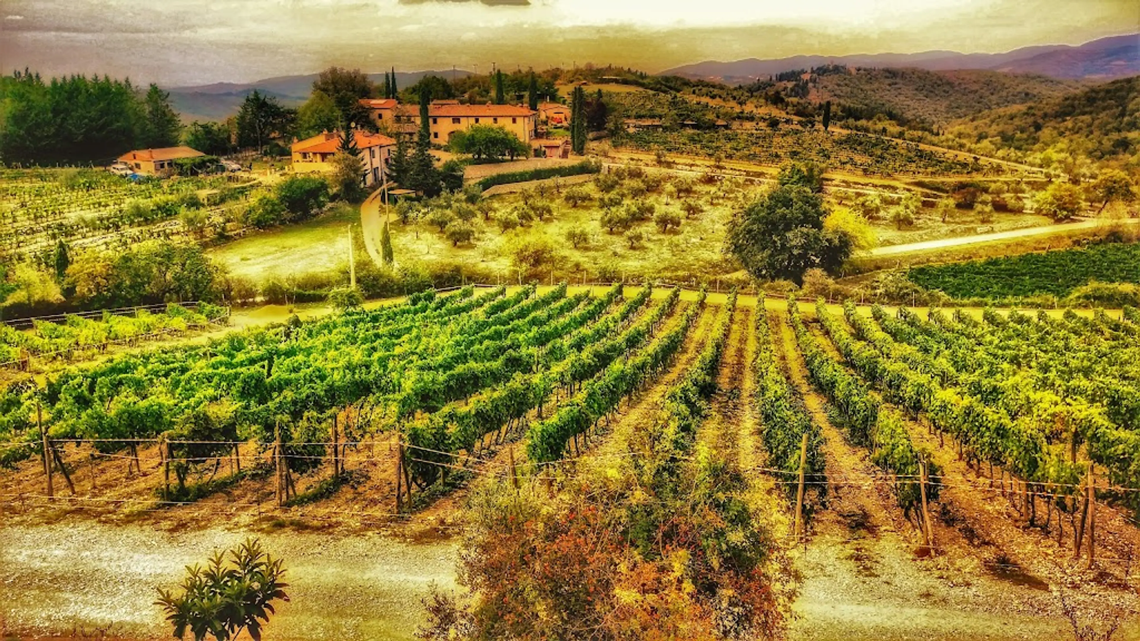 Chianti Wine Tour