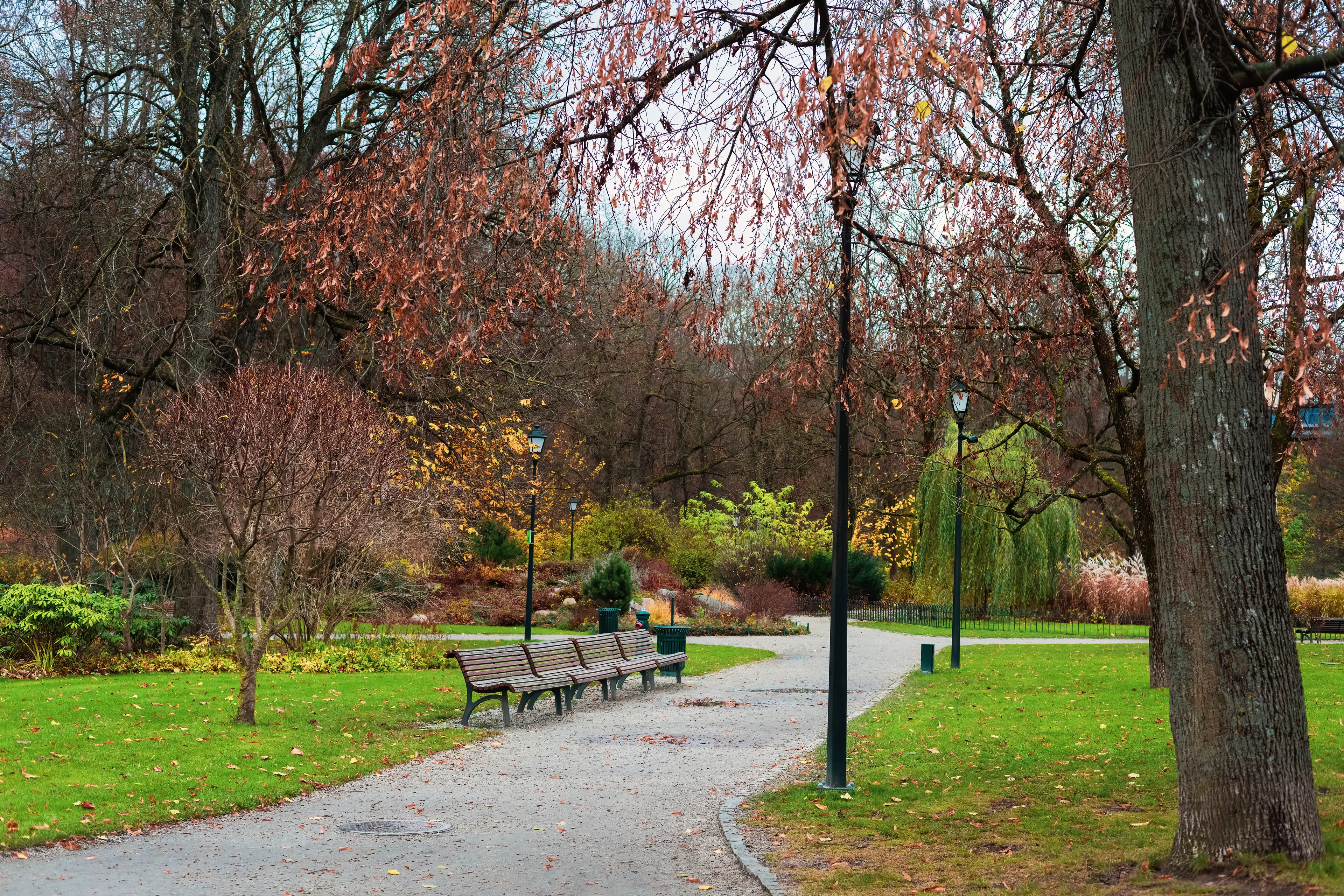 Bernardine Garden