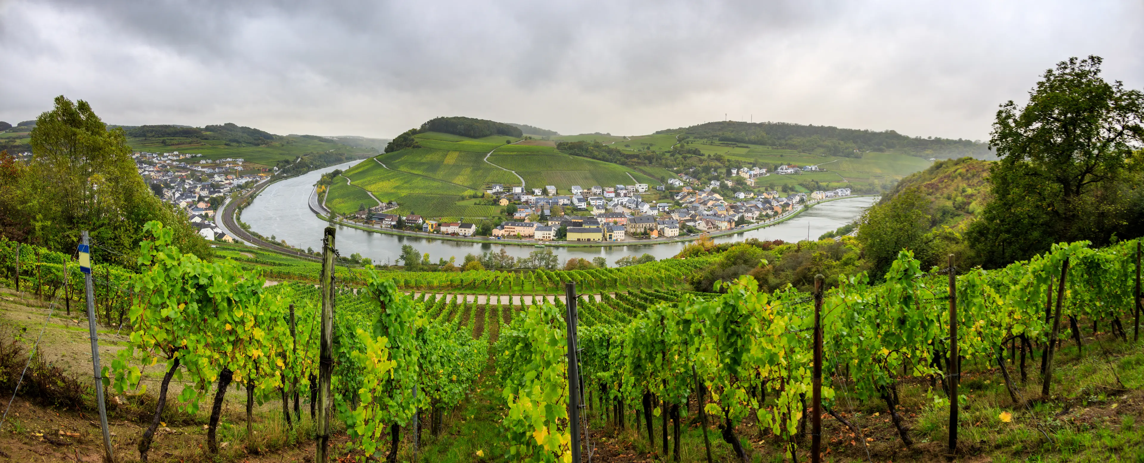 Moselle wine region