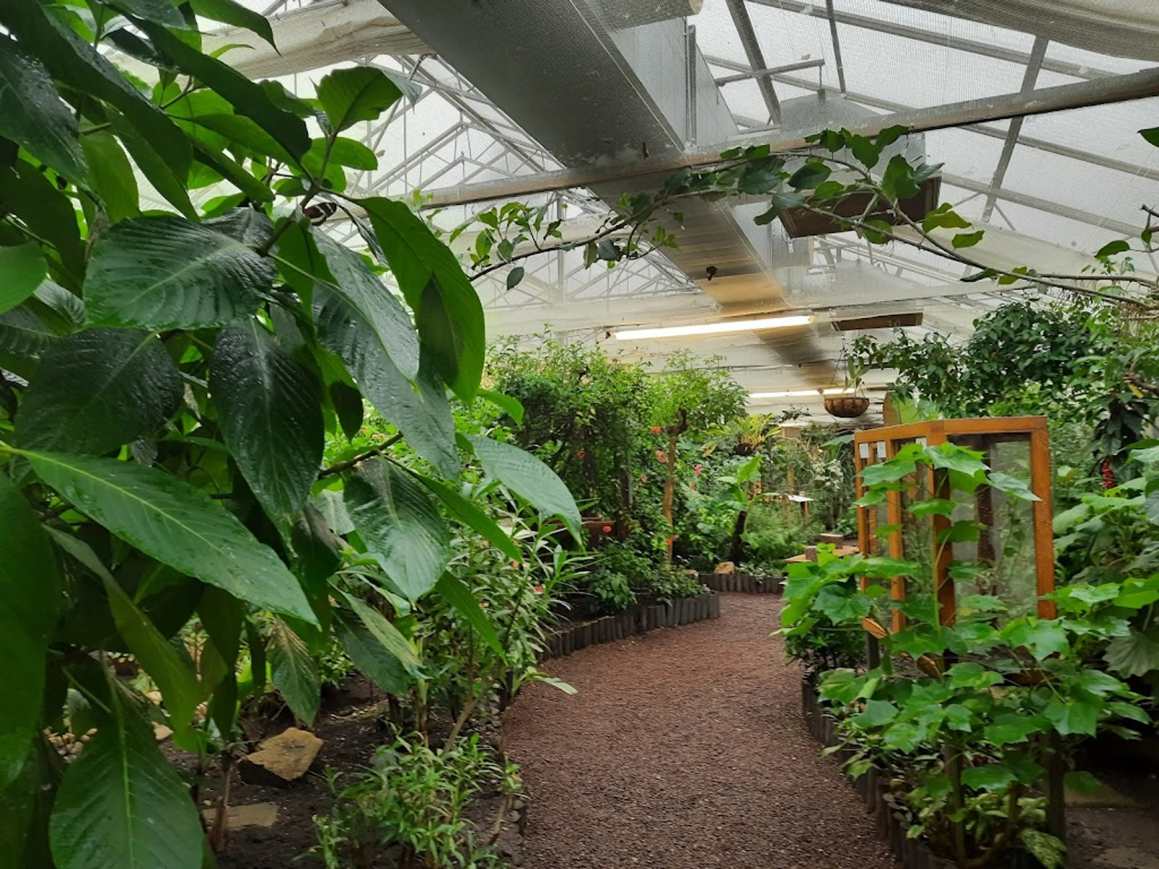Butterfly Garden in Grevenmacher