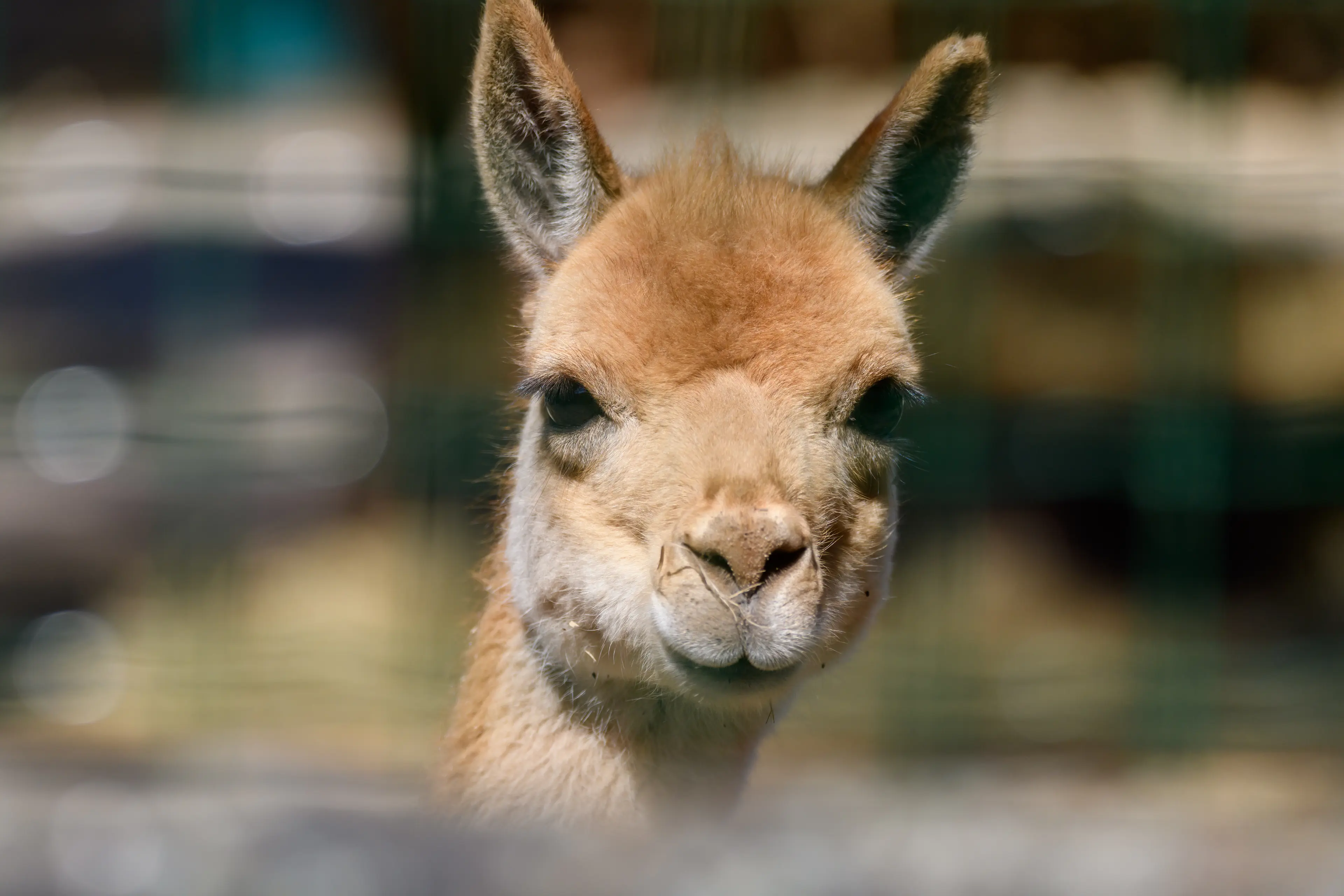 Riga Zoo