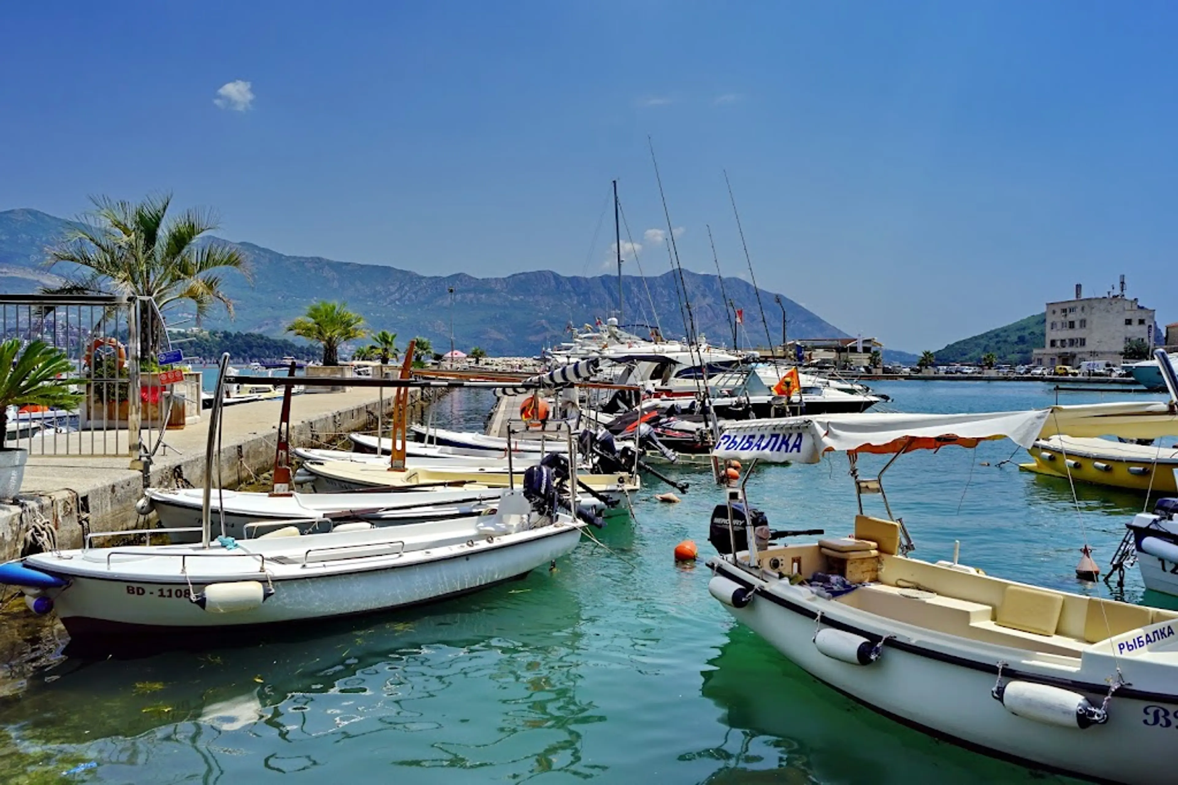 Marina