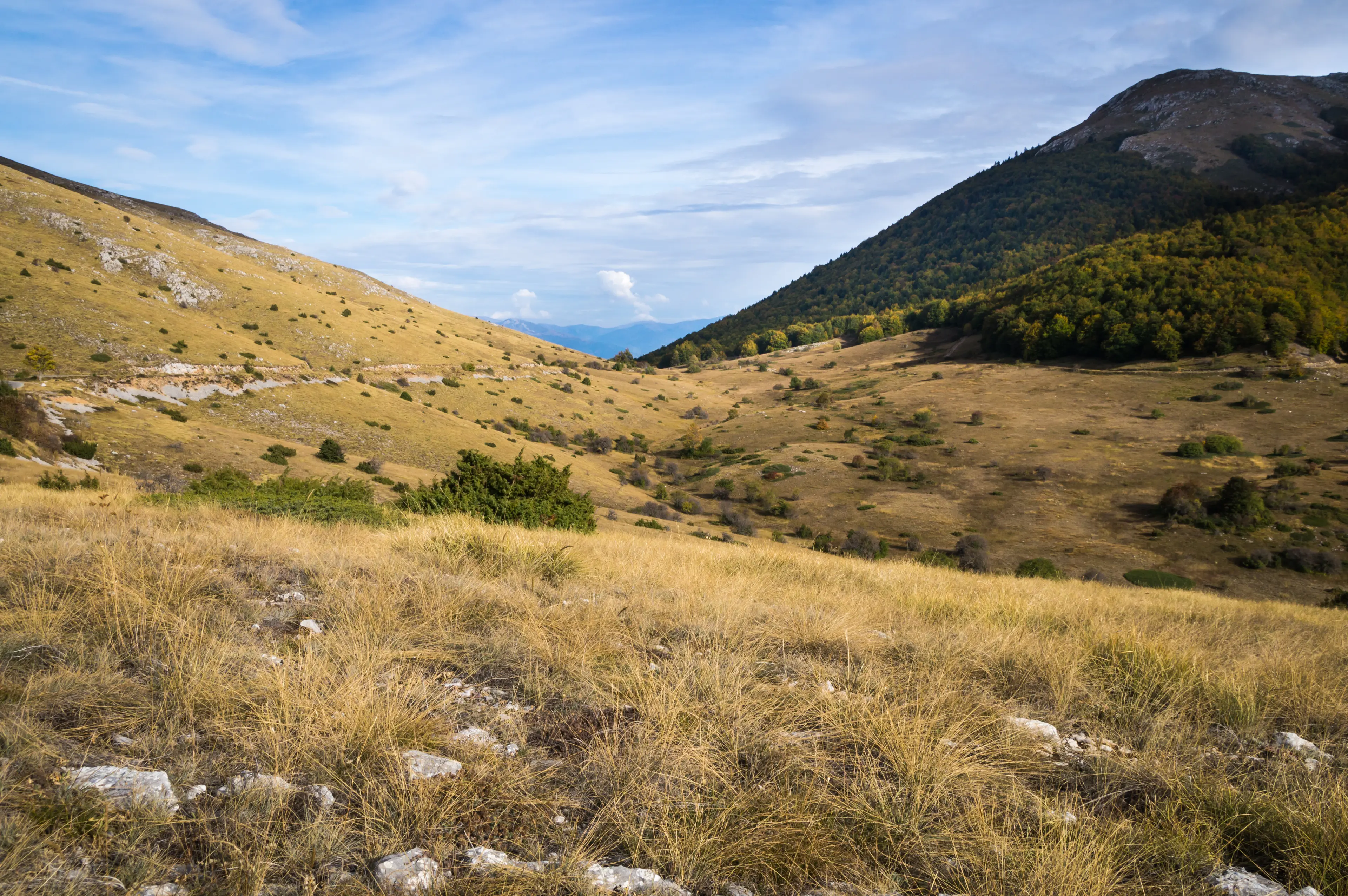 Galicica National Park