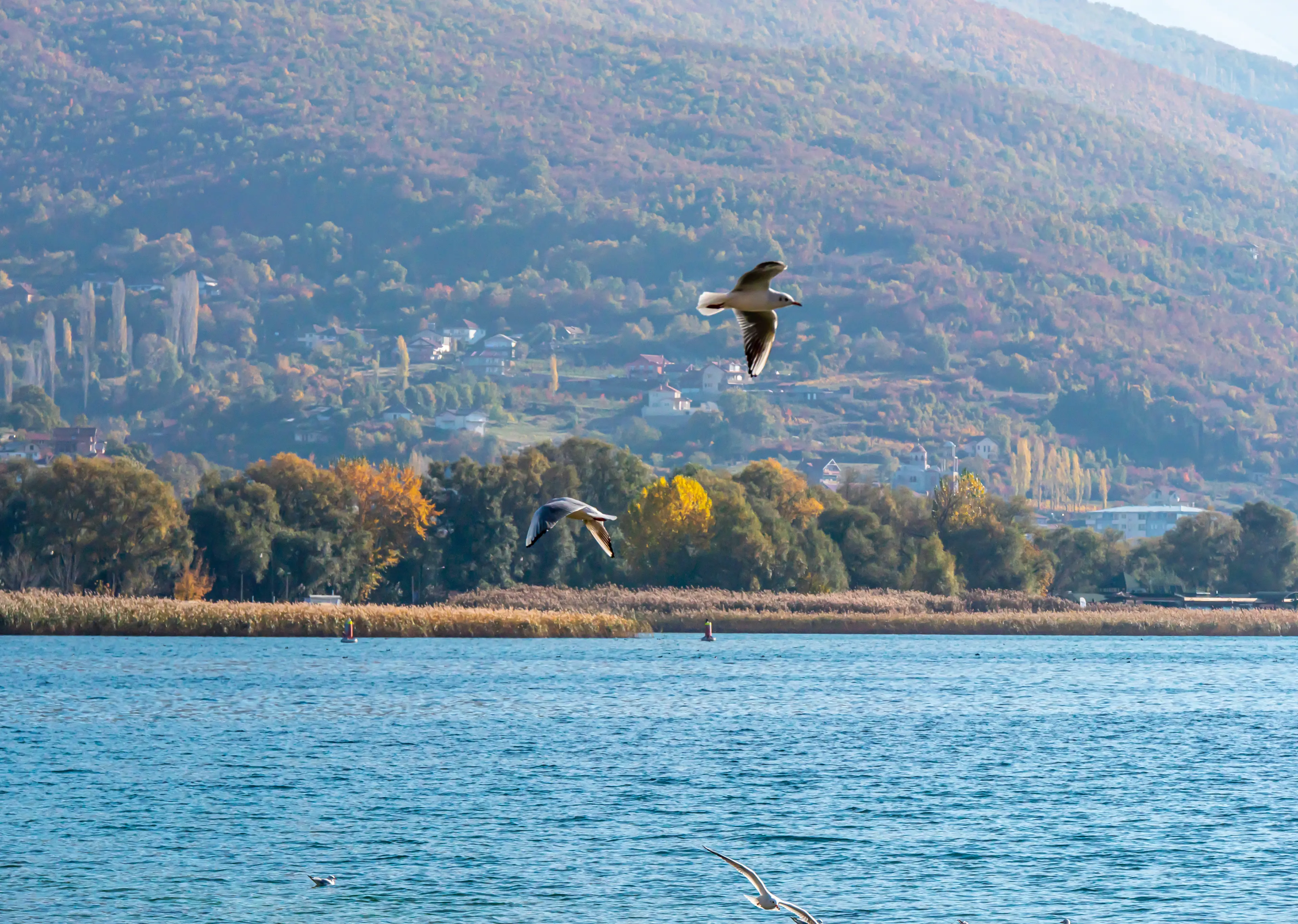 Ohrid Lake