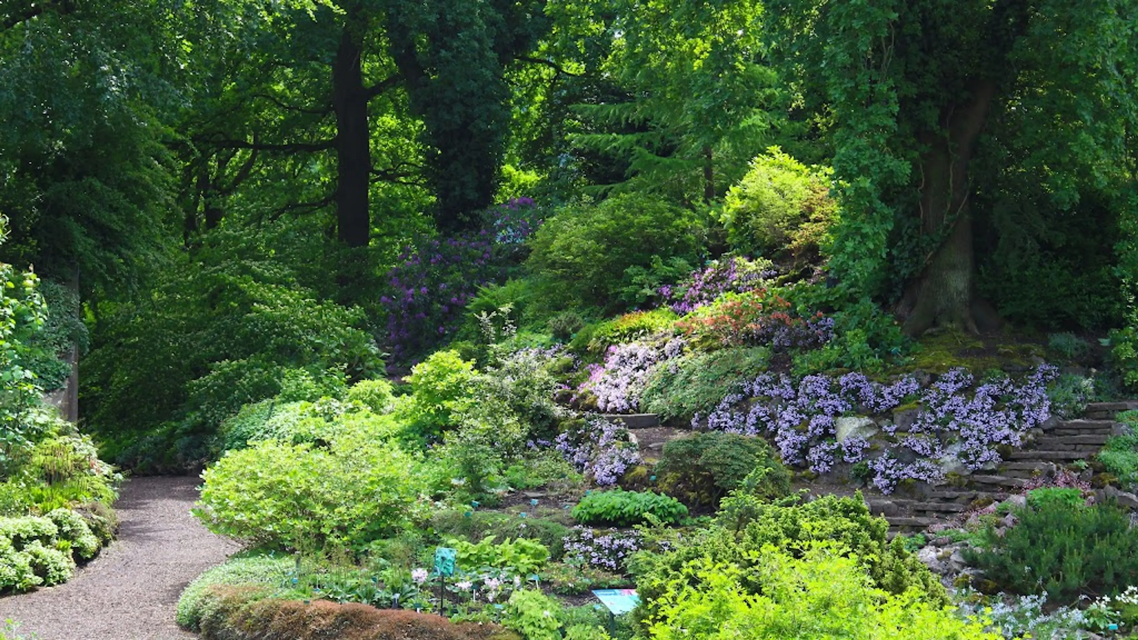 Utrecht Botanic Gardens