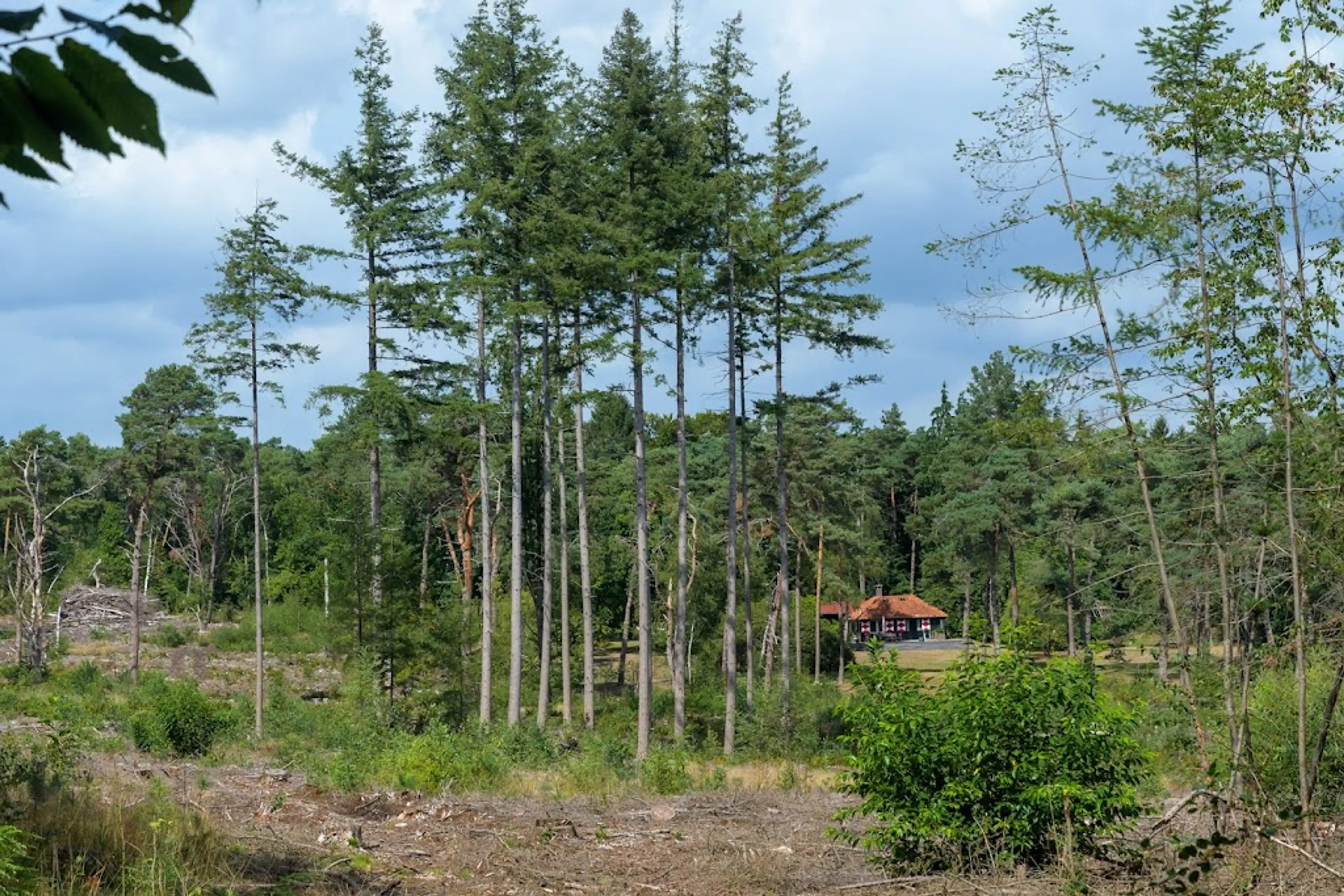 Utrechtse Heuvelrug National Park