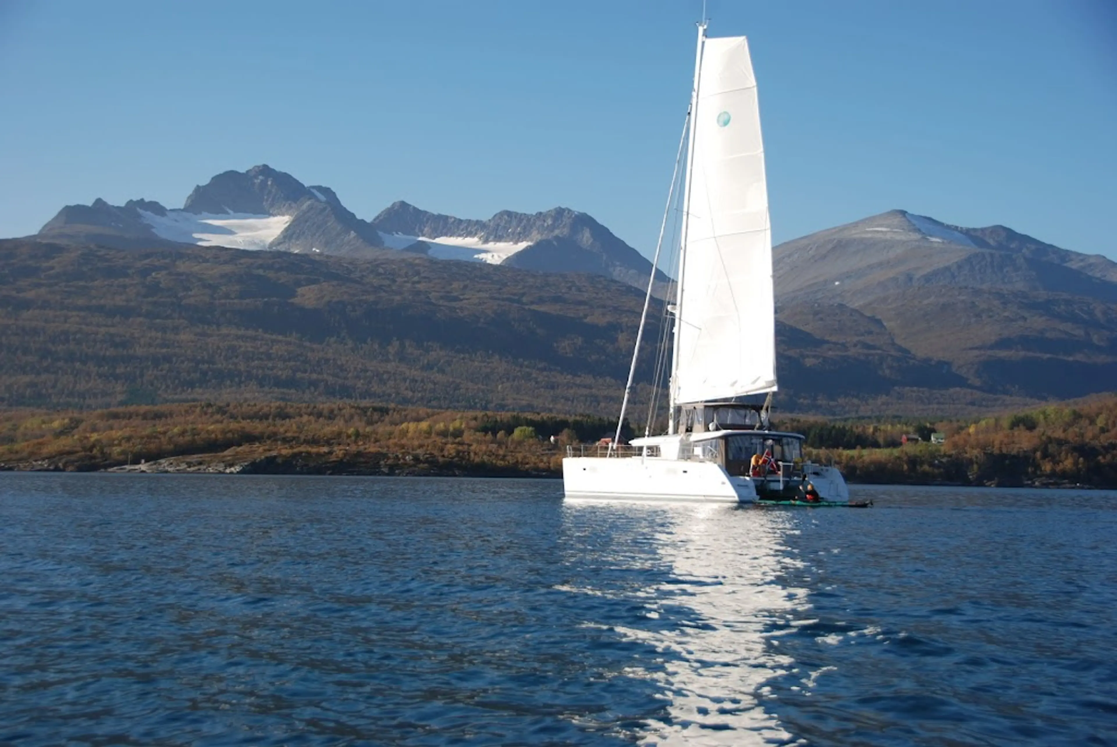Arctic Wildlife Boat Tour