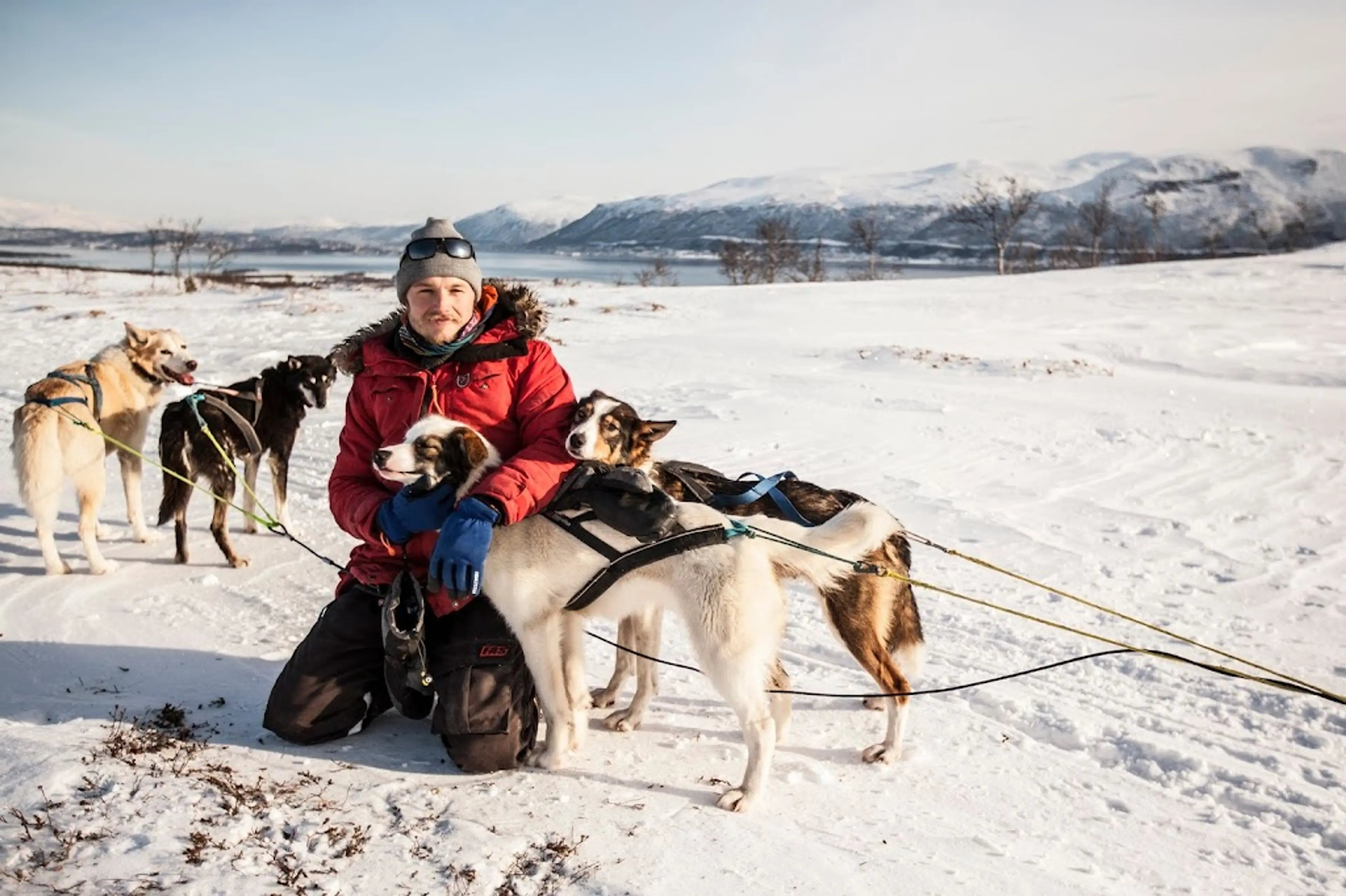 Dog Sledding Adventure