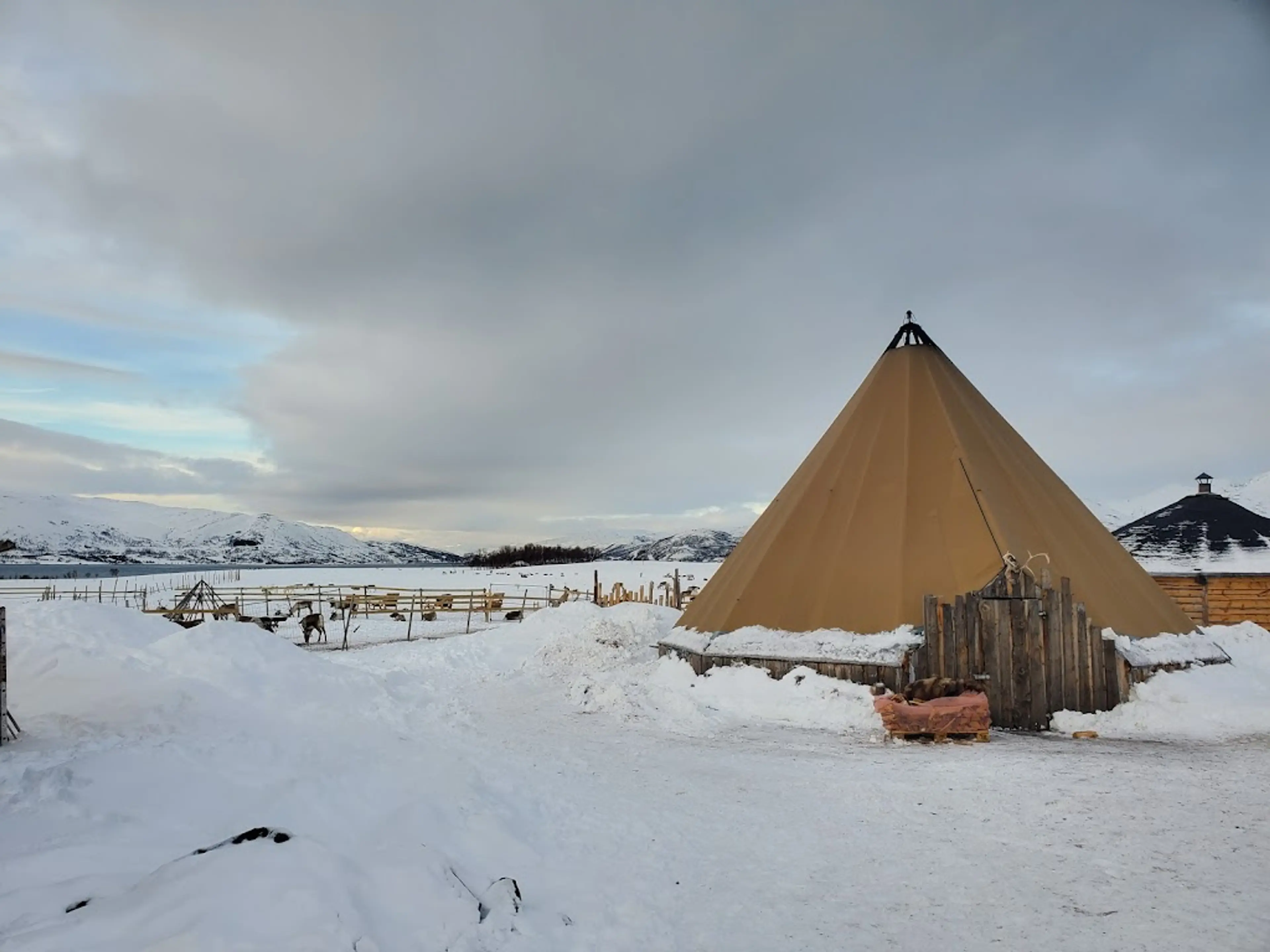 Sami culture tour