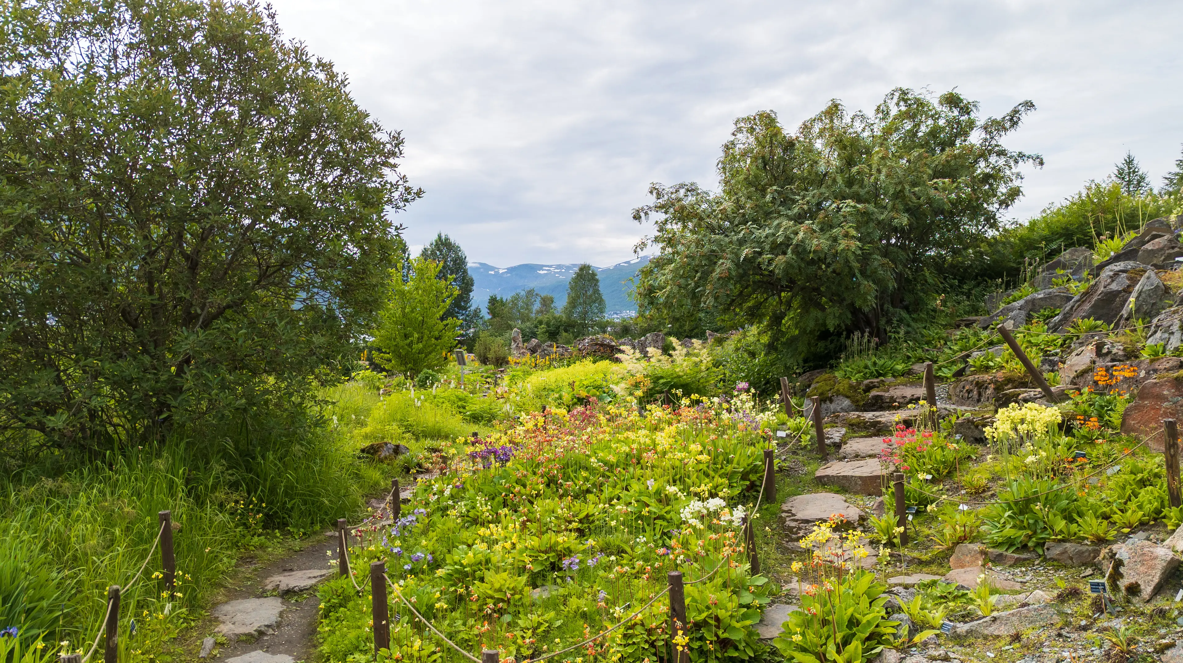 Tromso Botanic Gardens