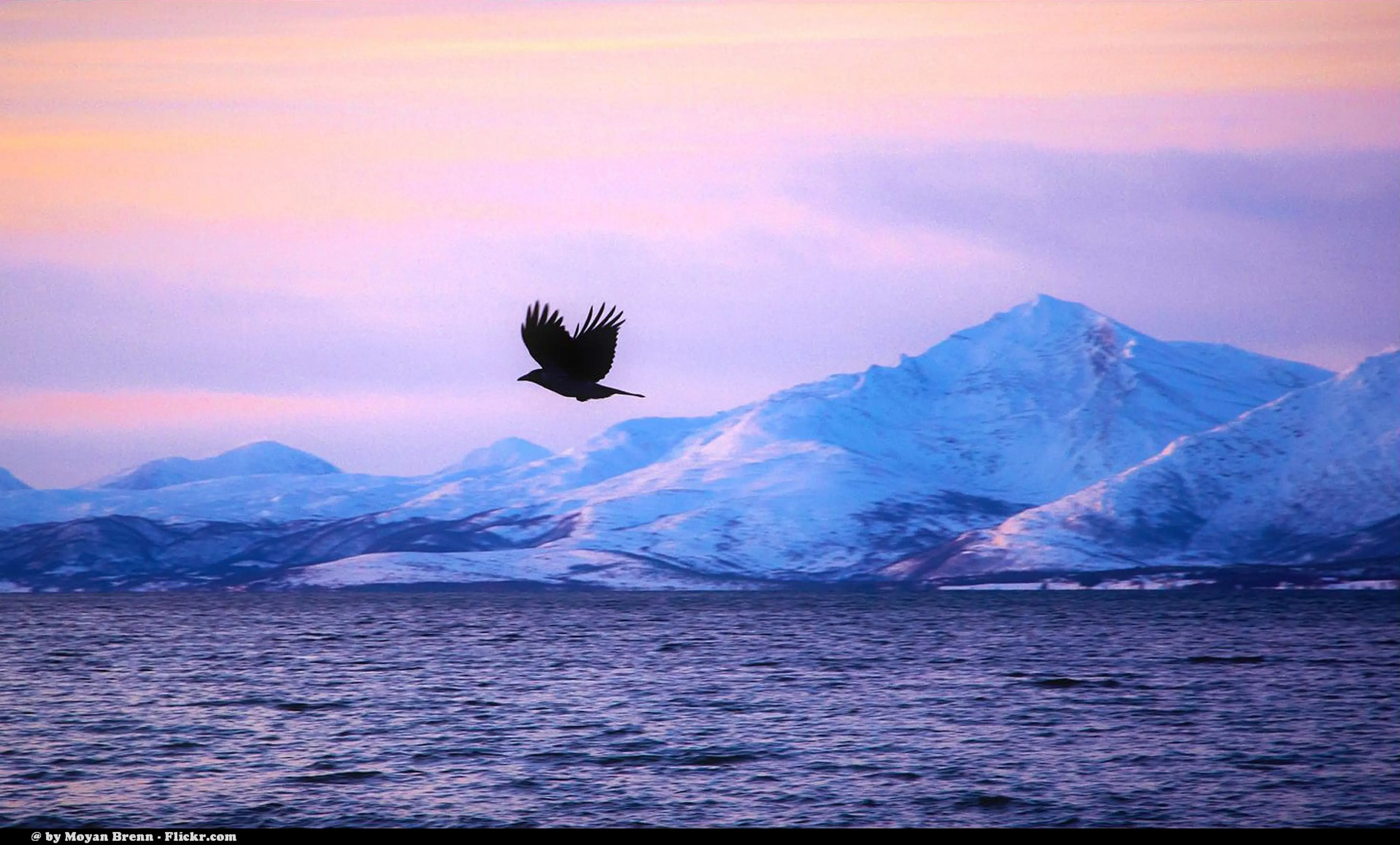 Tromso Fjords