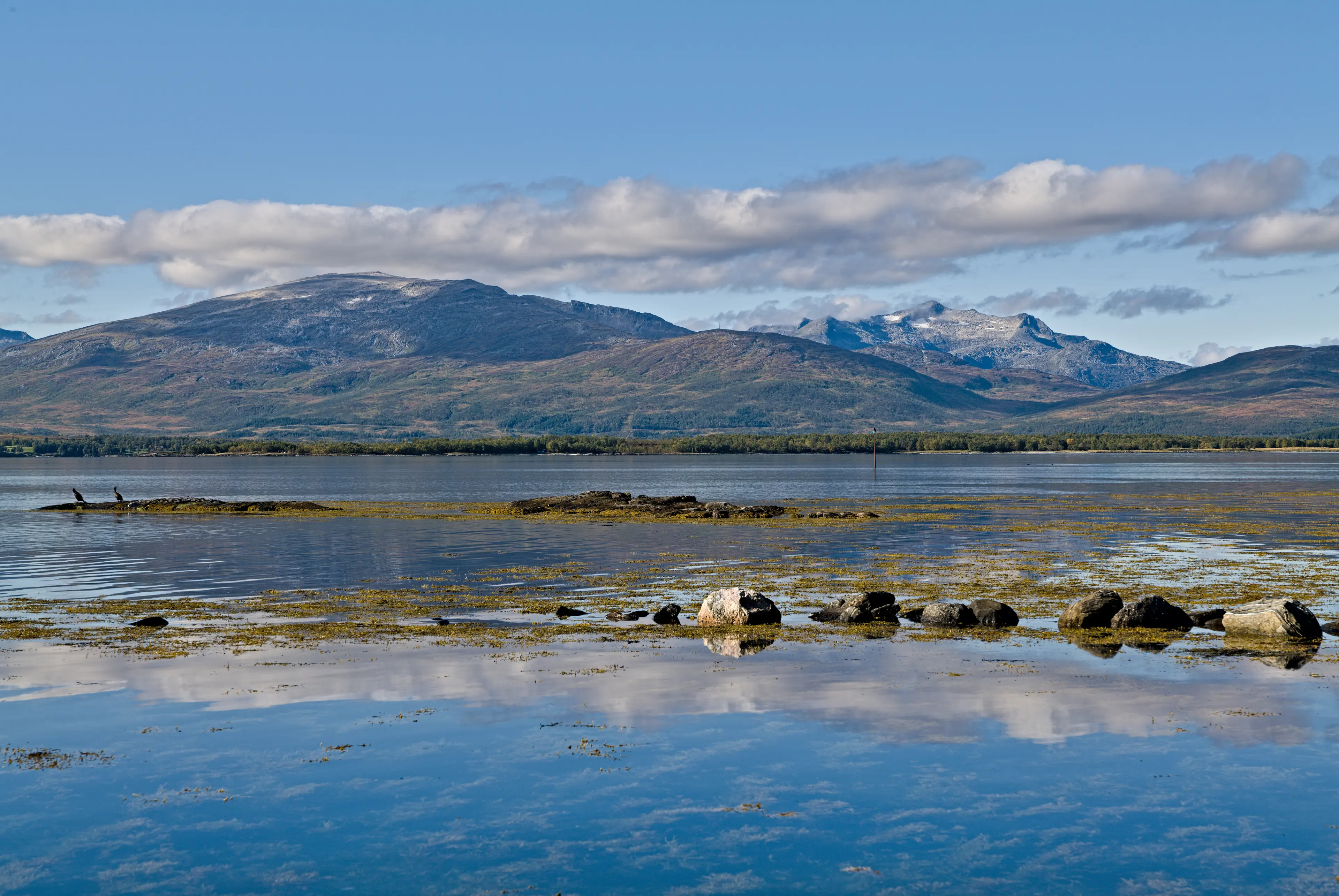 Tromso Nature Reserve