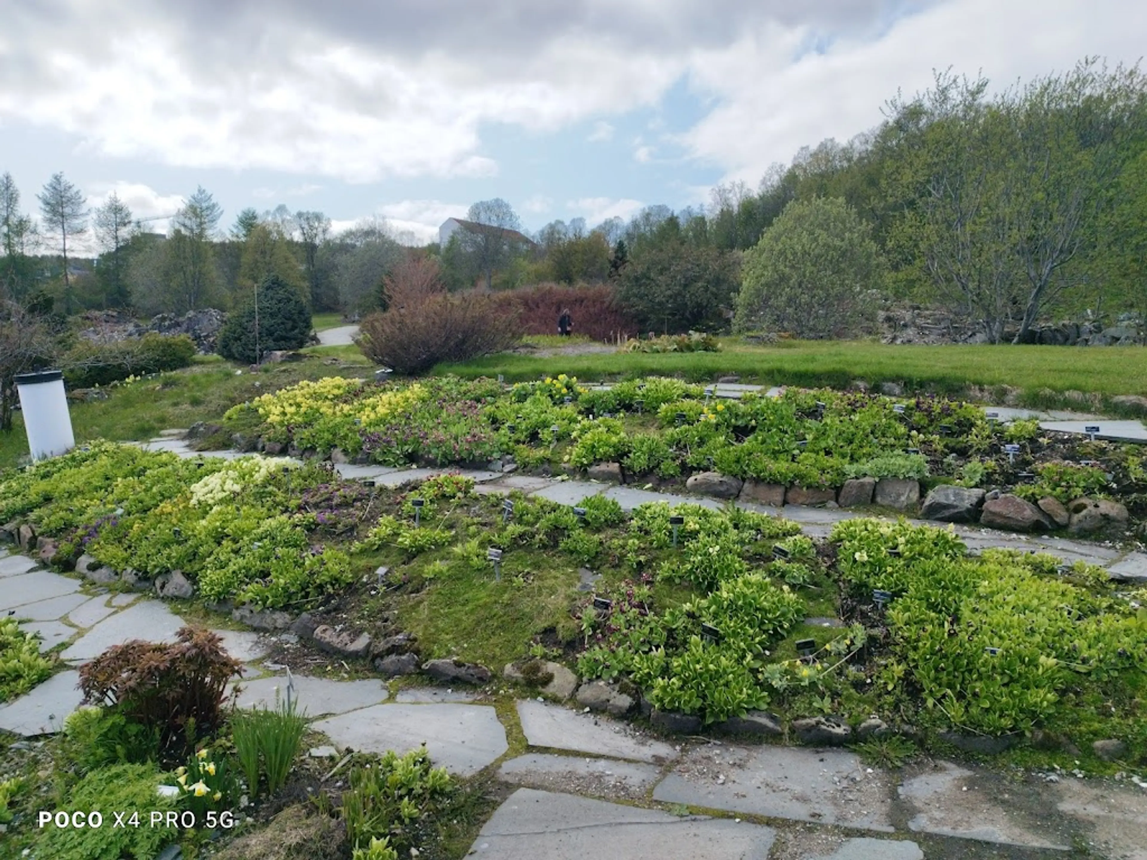 Tromso Botanical Gardens