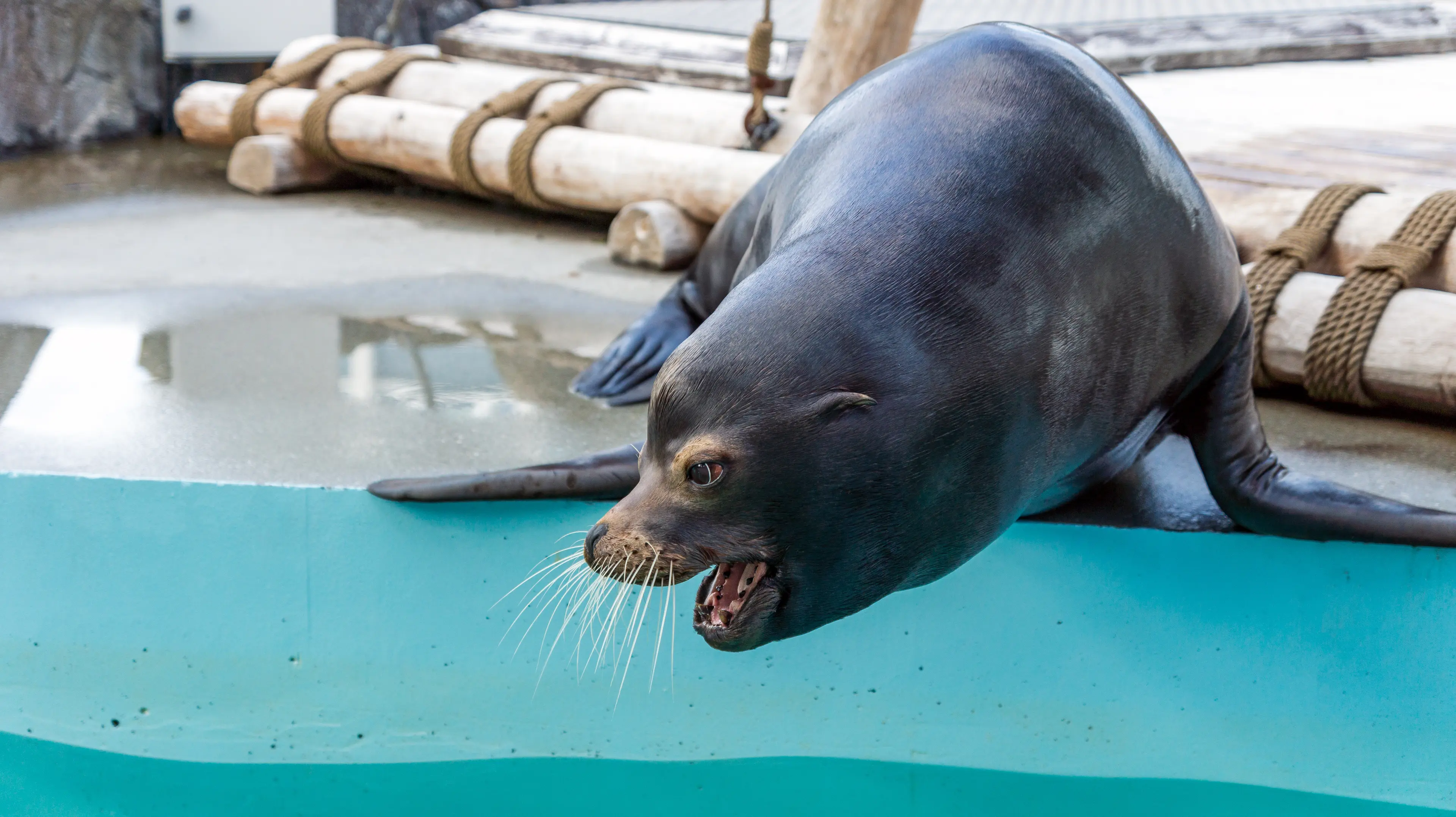 Bergen Aquarium