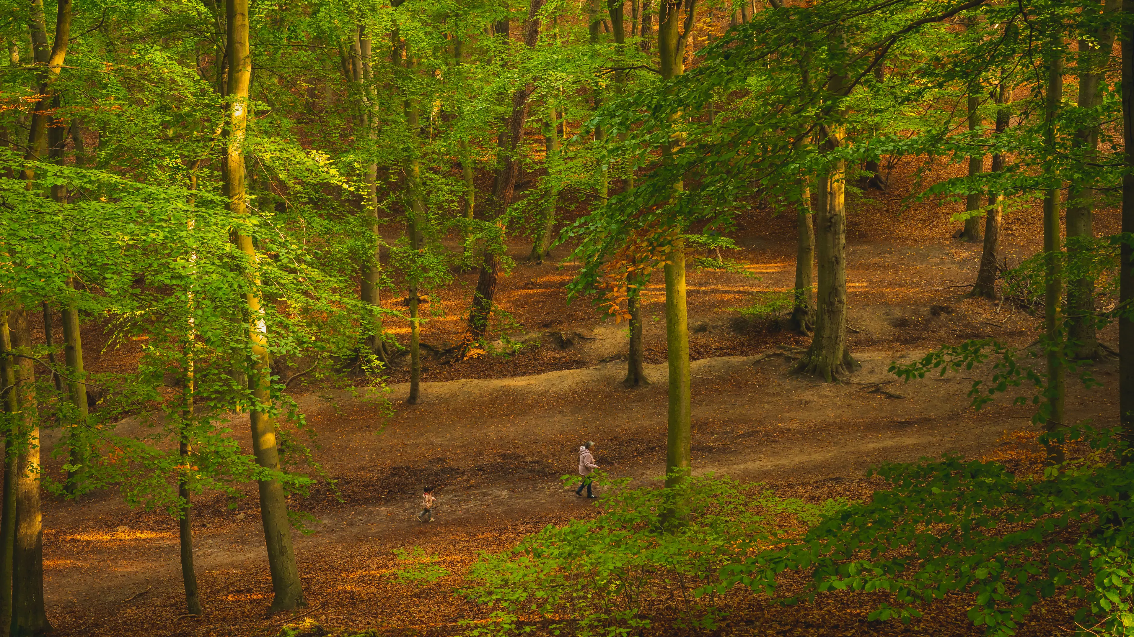 Tricity Landscape Park