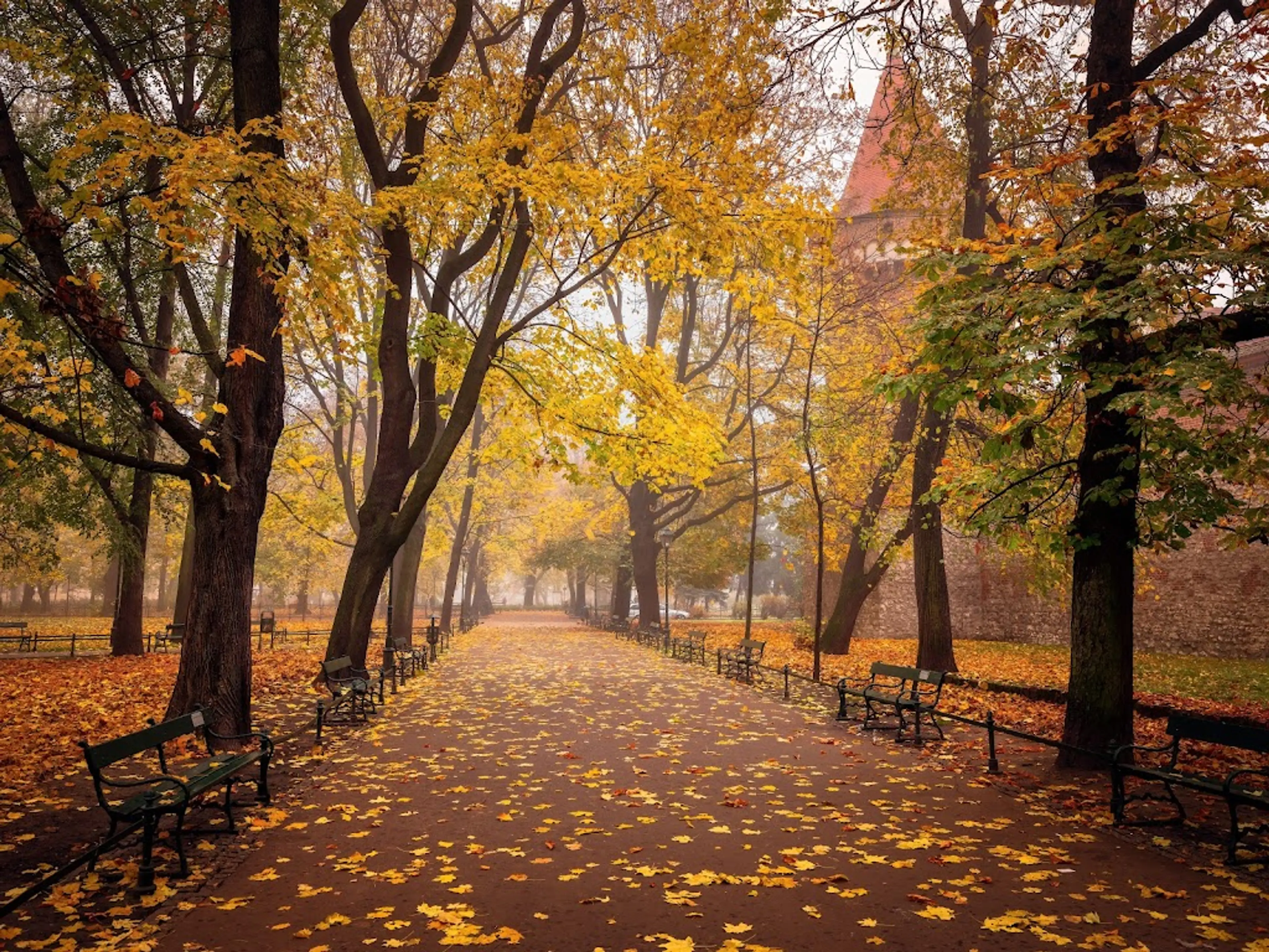 Planty Park