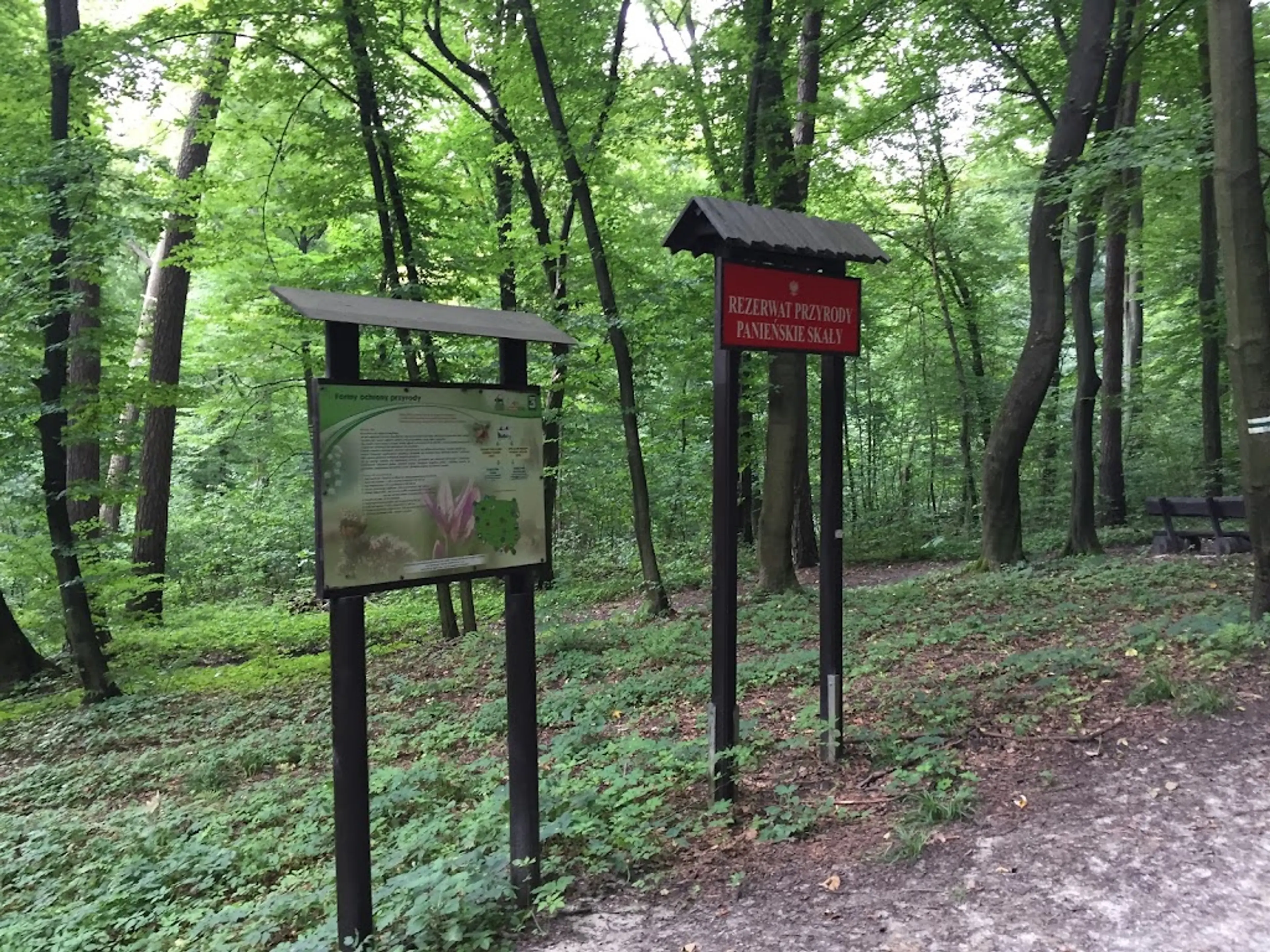 Wolski Forest