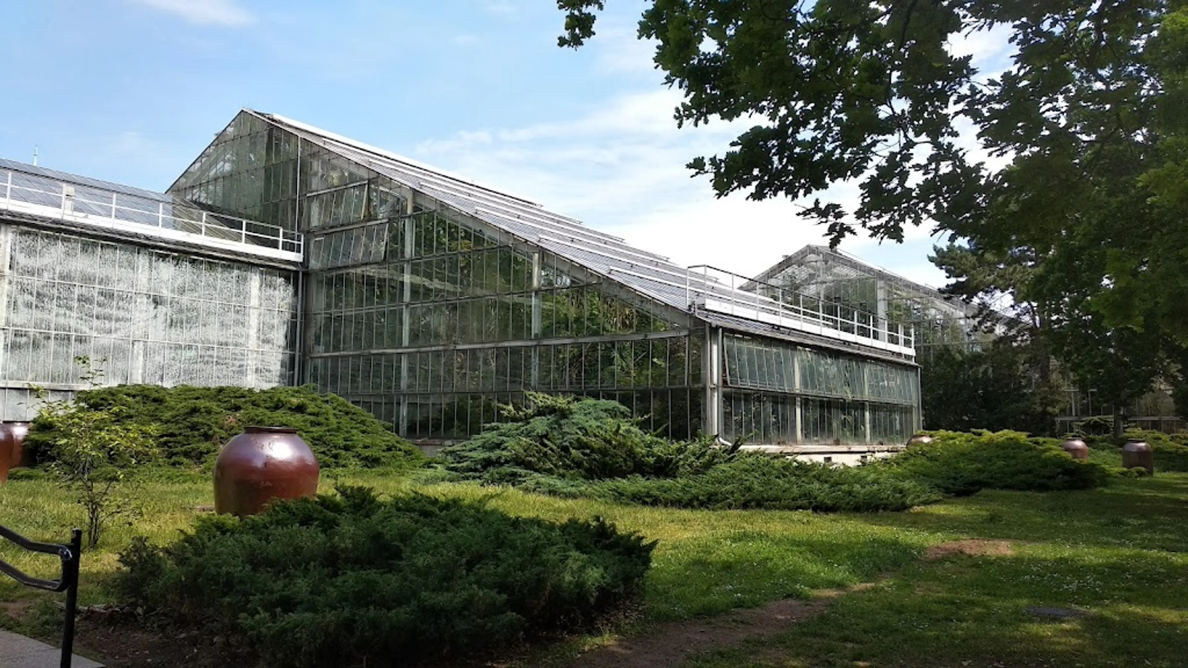 Palm House