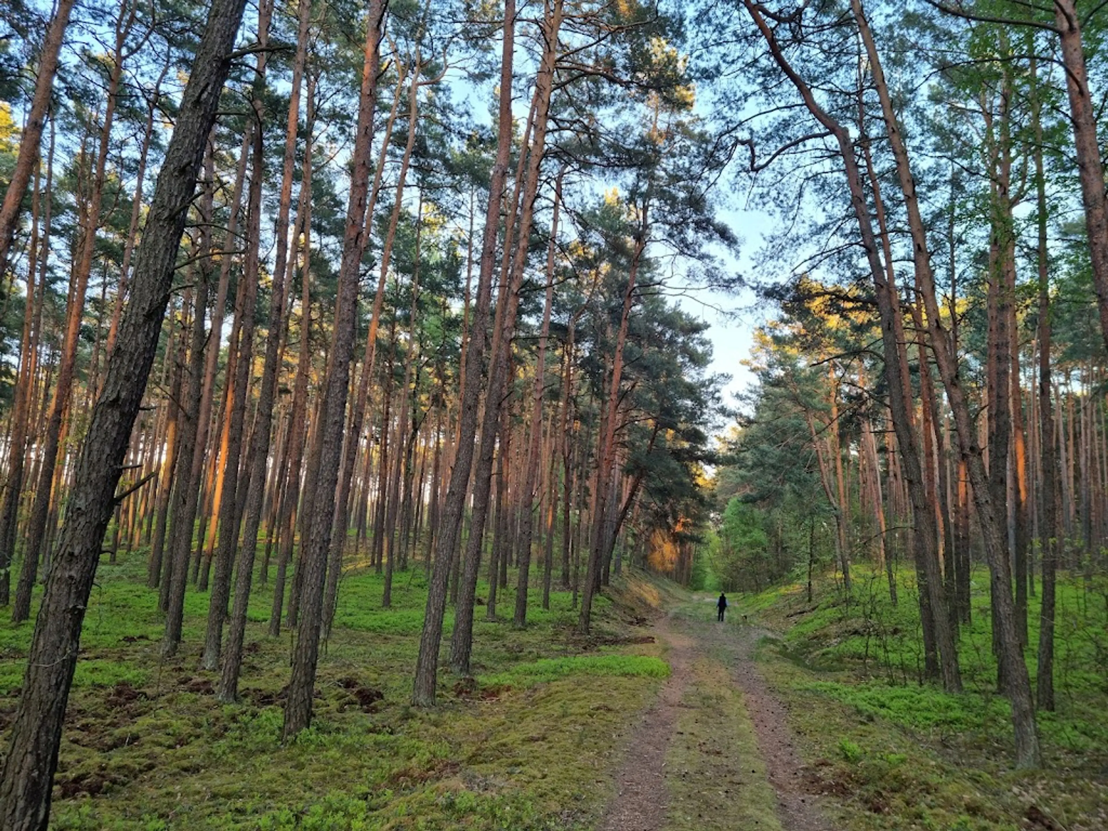 Kampinos National Park