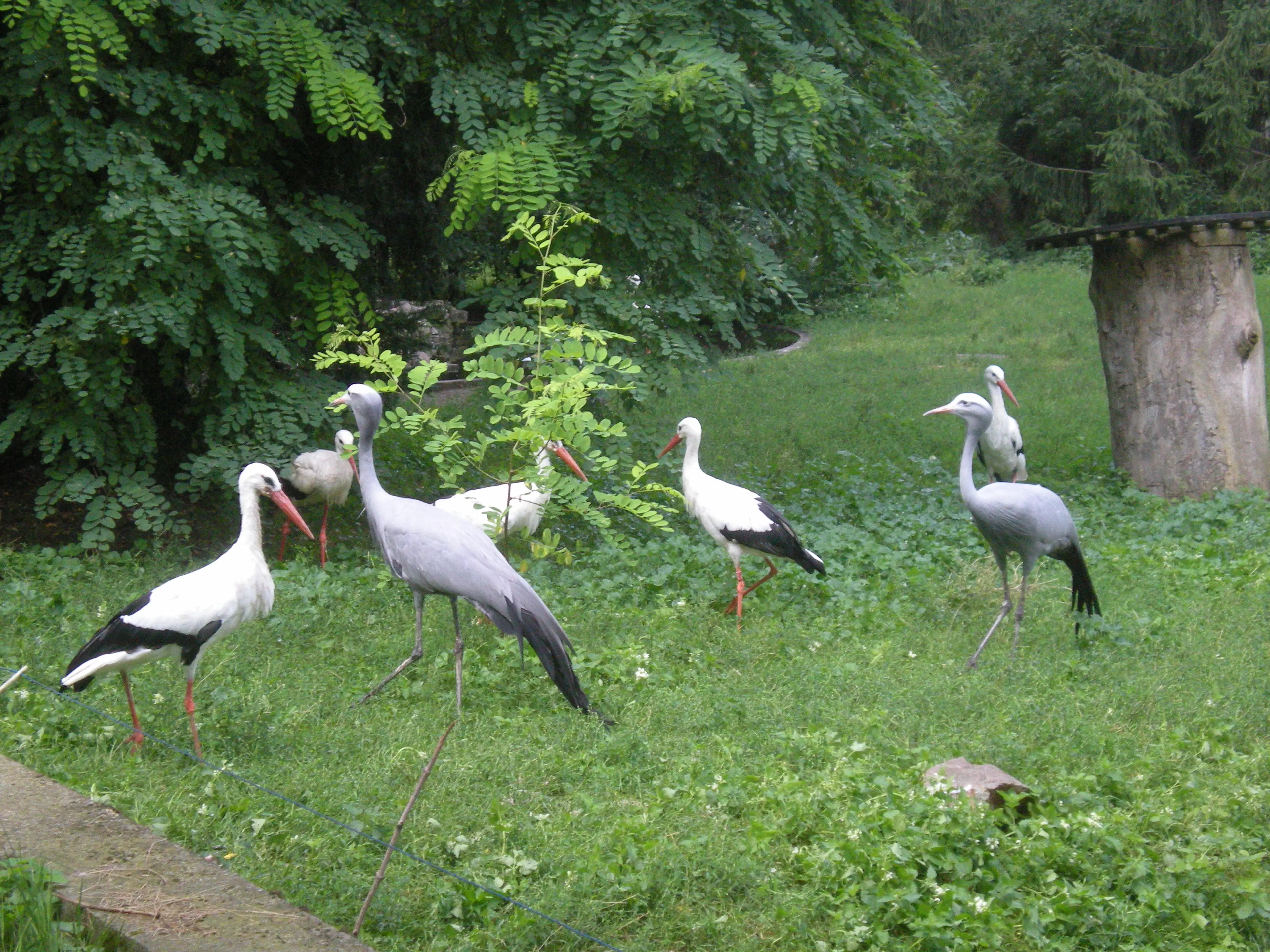 Warsaw Zoo