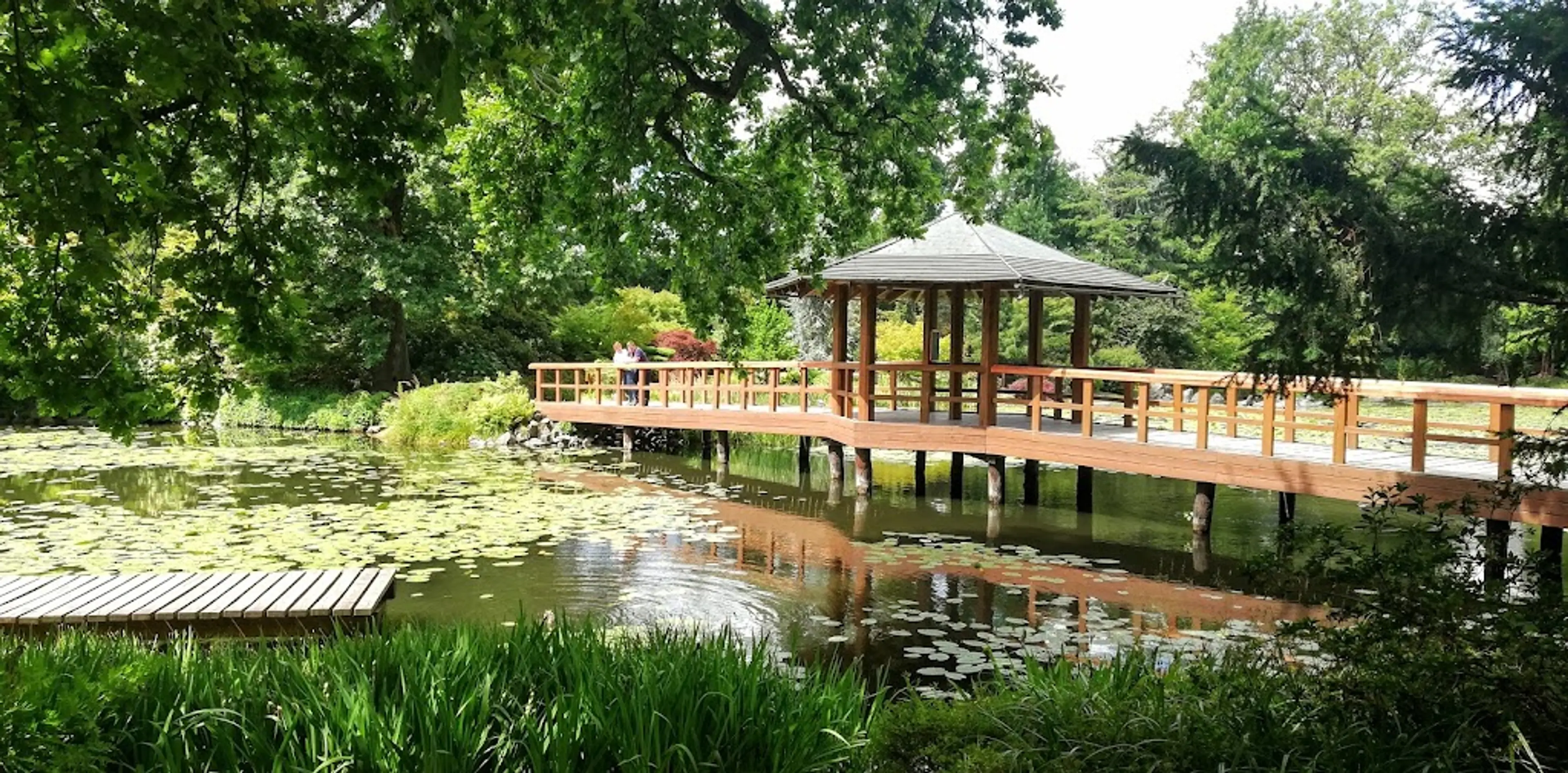 Japanese Garden