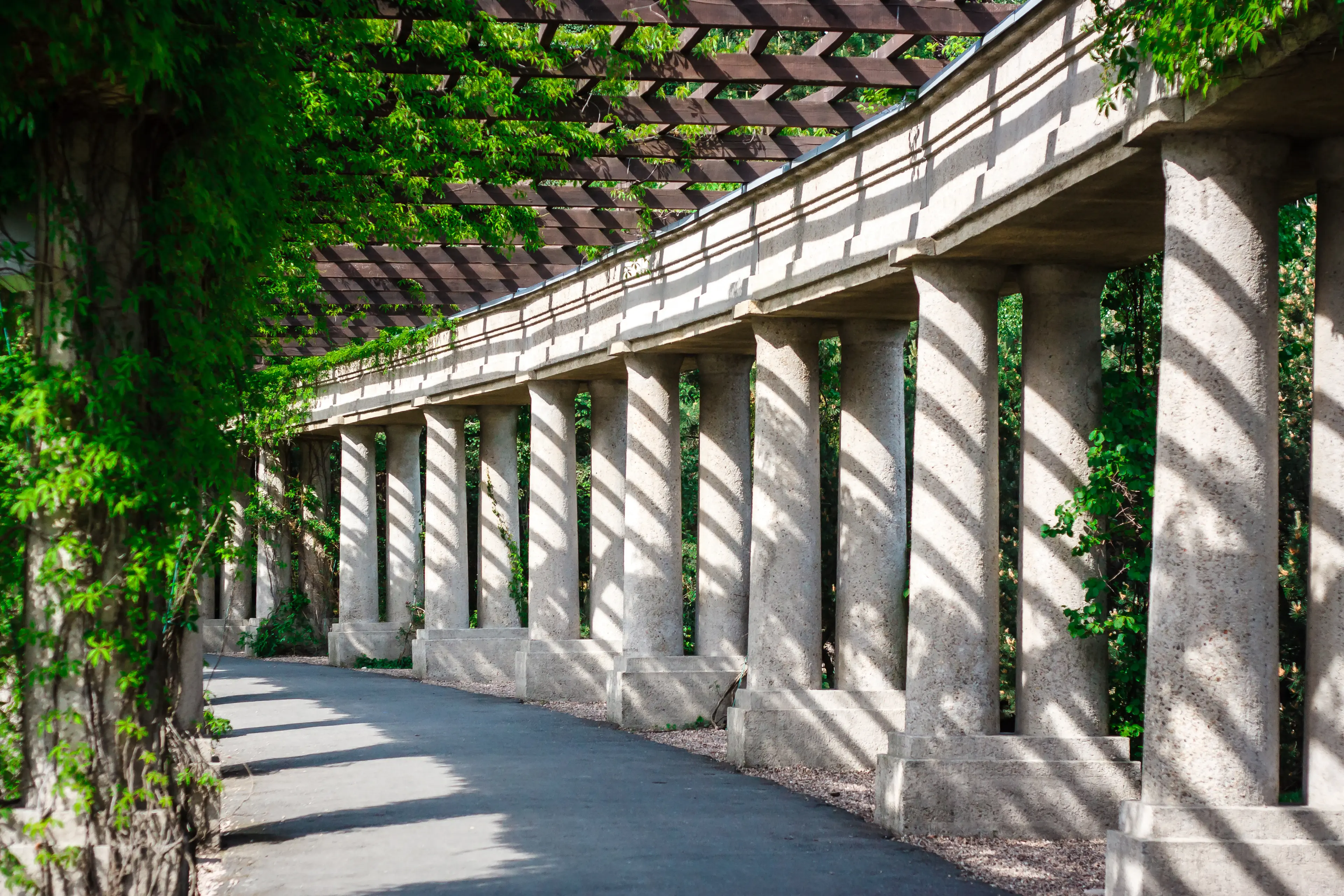 Pergola