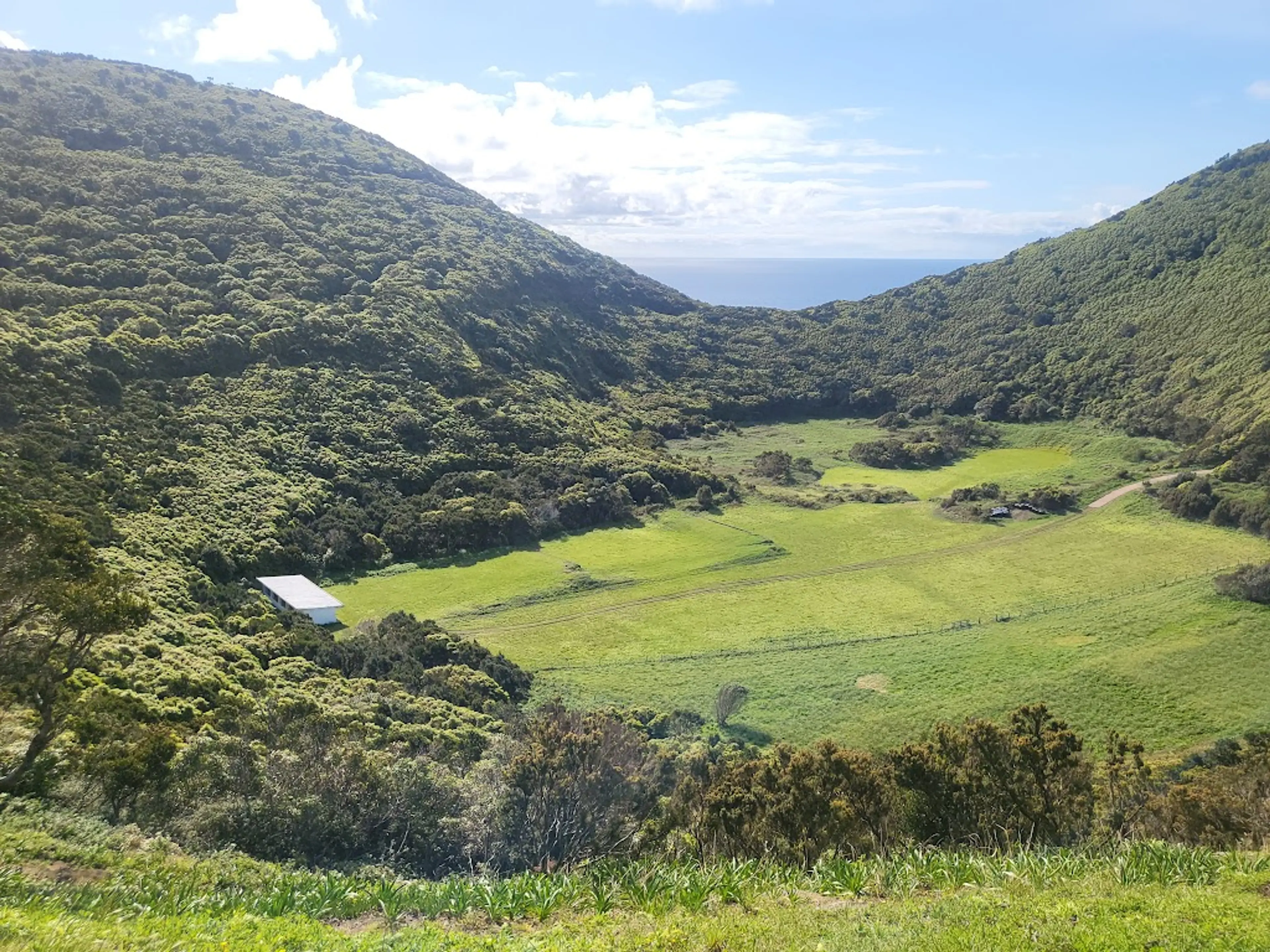 Monte Brasil nature reserve