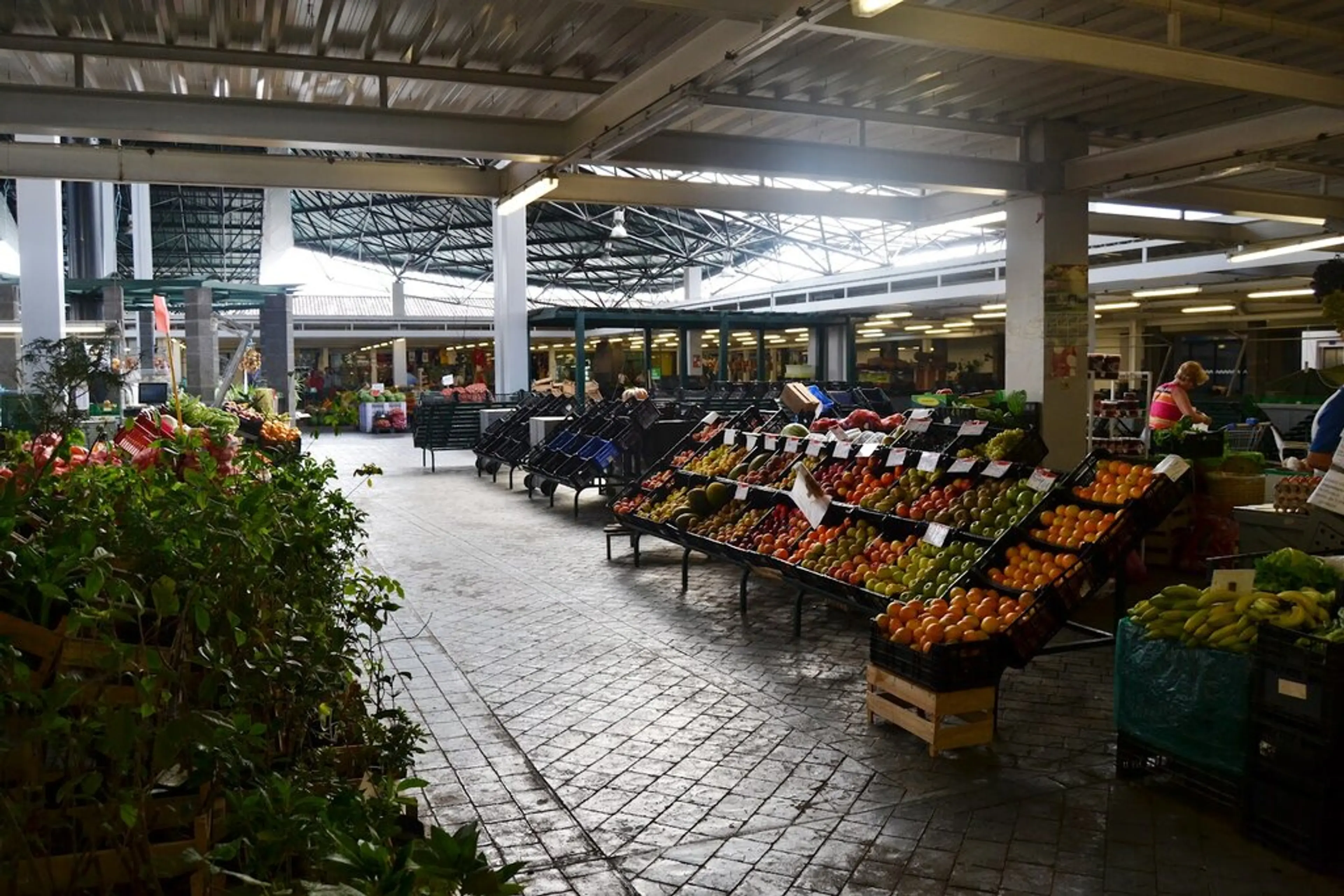 Ponta Delgada local markets