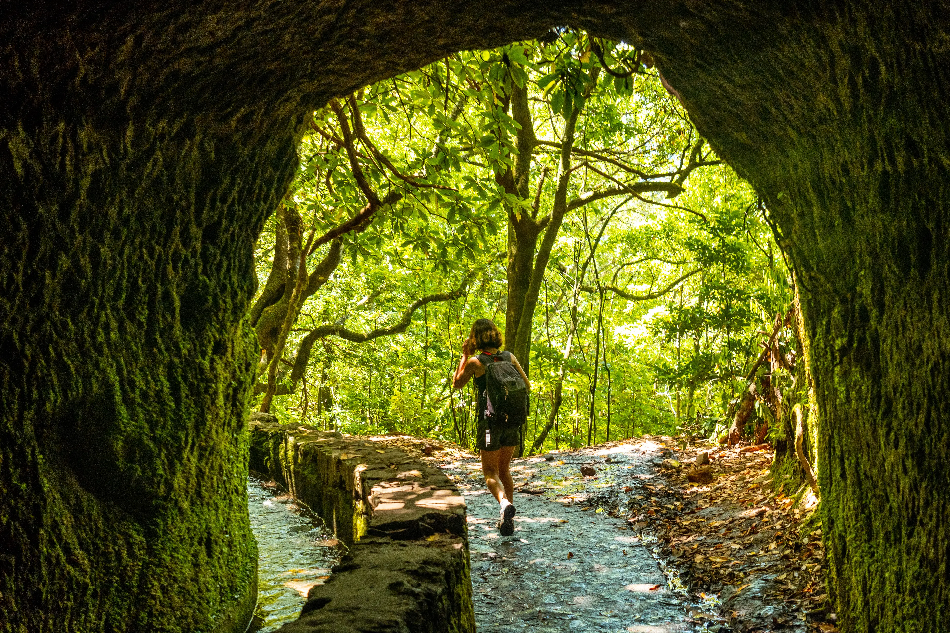 Levada Walk